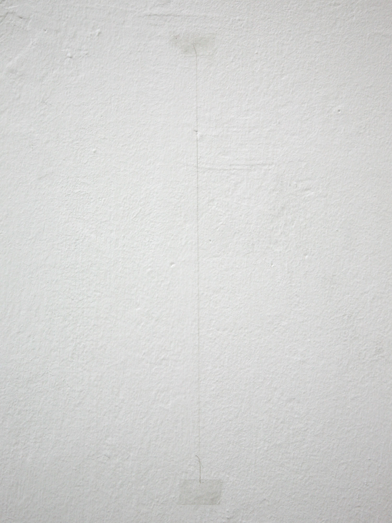 Cabello y vello púbico unidos mediante un nudo Hunter, 2009Human hair and adhesive tape on wall38 x 3 x 2 cm.