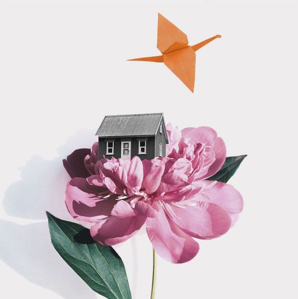 Veronika Lambertucci