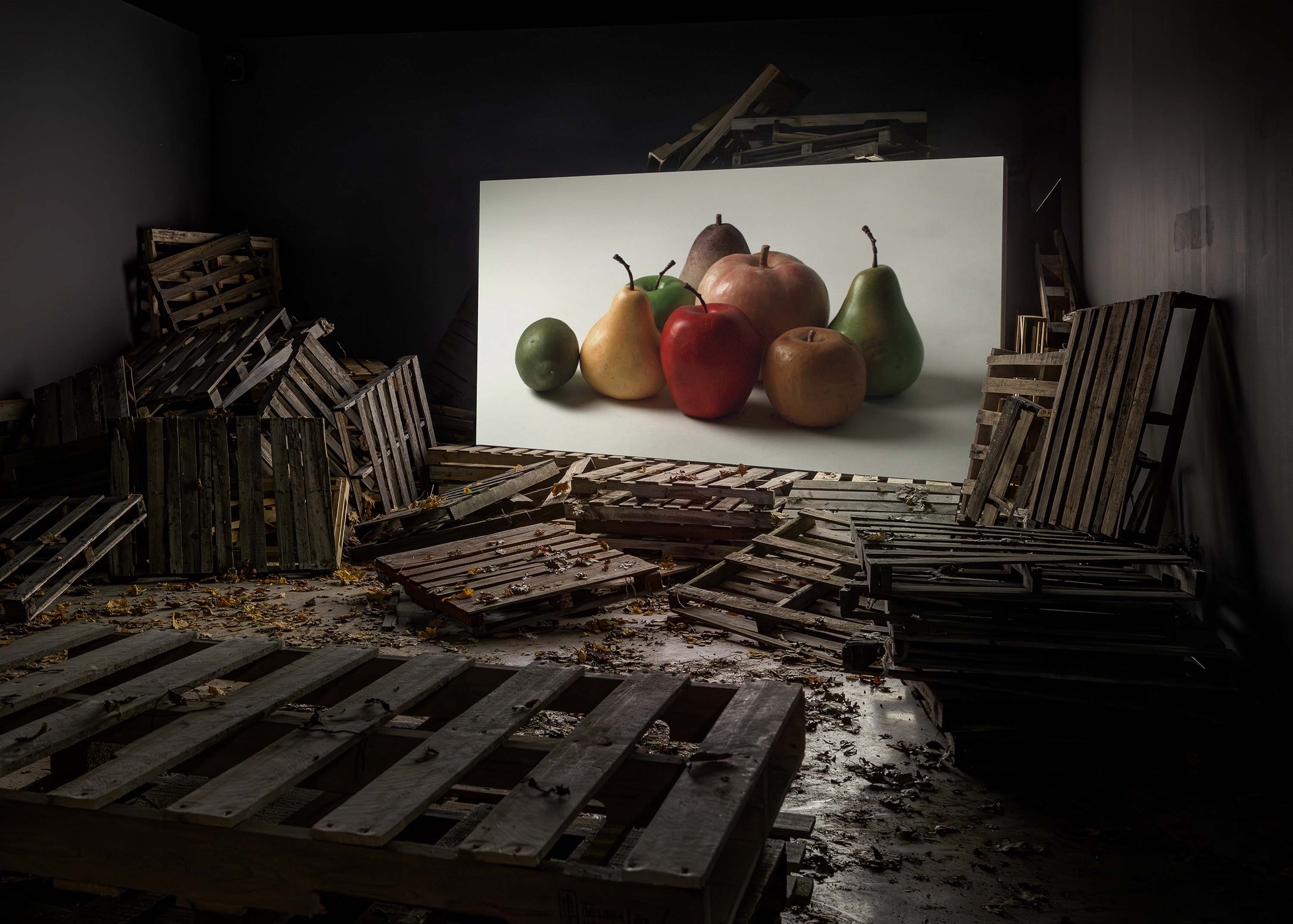 2025 | Salvage Archives