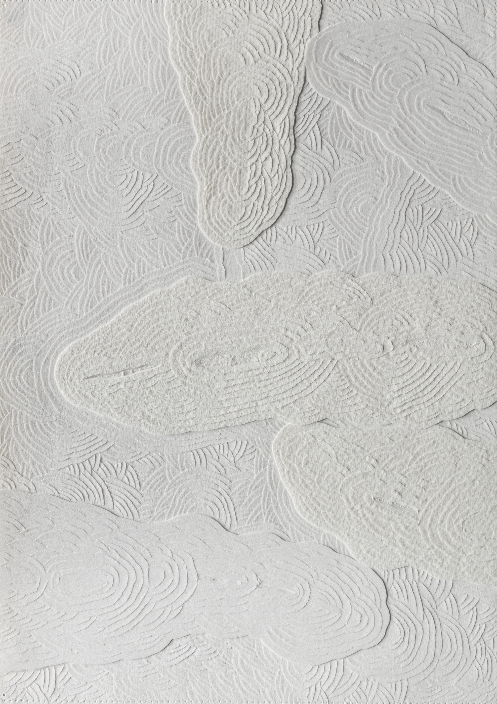  Untitled (Full Blown), 2015 . Paper cut and carved . 30 x 21 cm