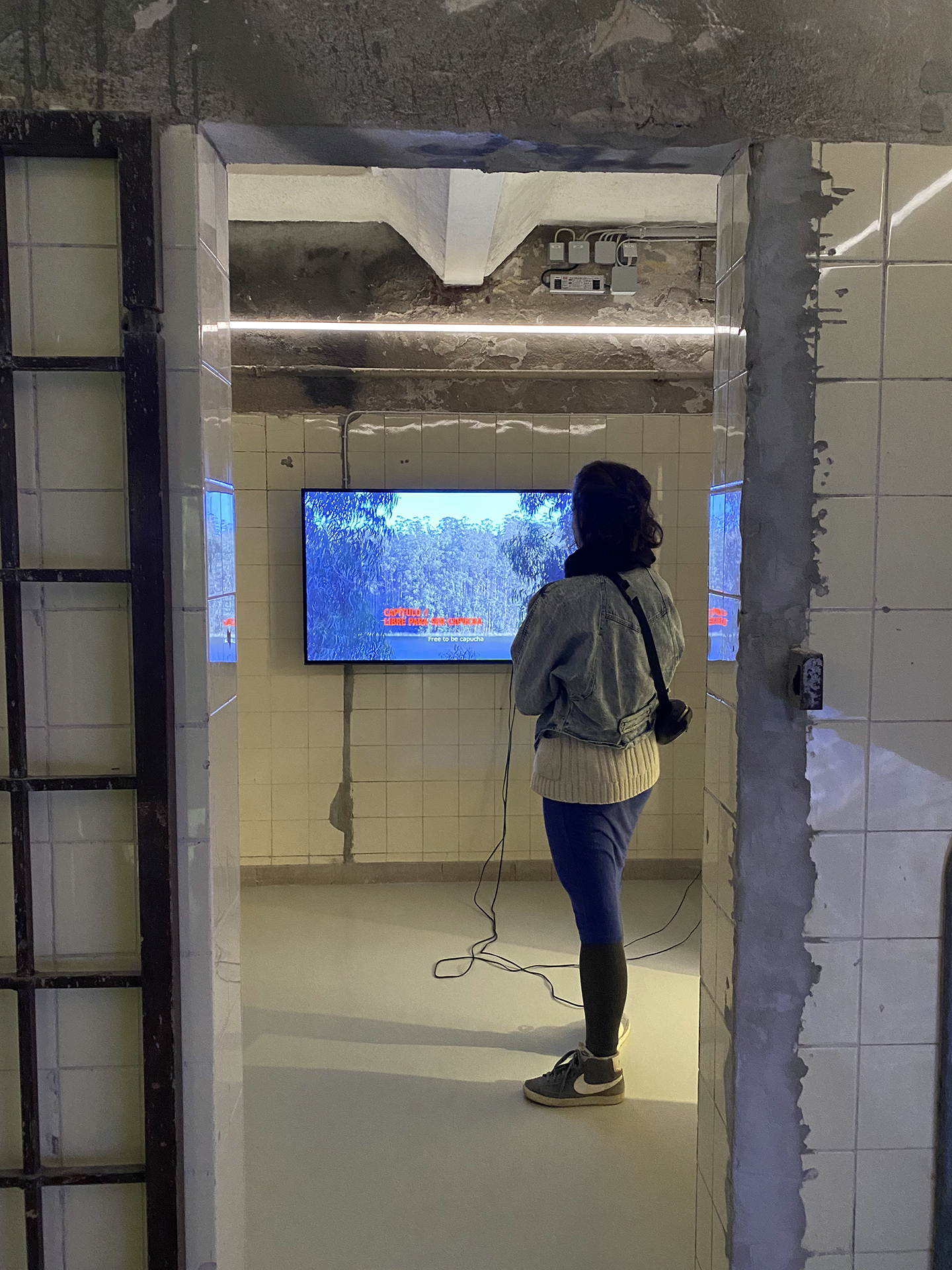 2021, 2 OR 3 FRAGMENTS OF HUMO SOBRE LOS HUMEDALES at the exhibition Fluide Realitäten at Kunstbrücke am Wildenbruch.
