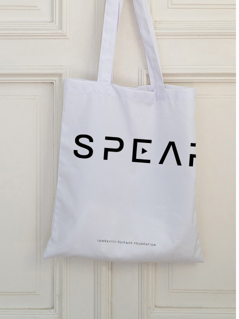 Spearhead Foundation