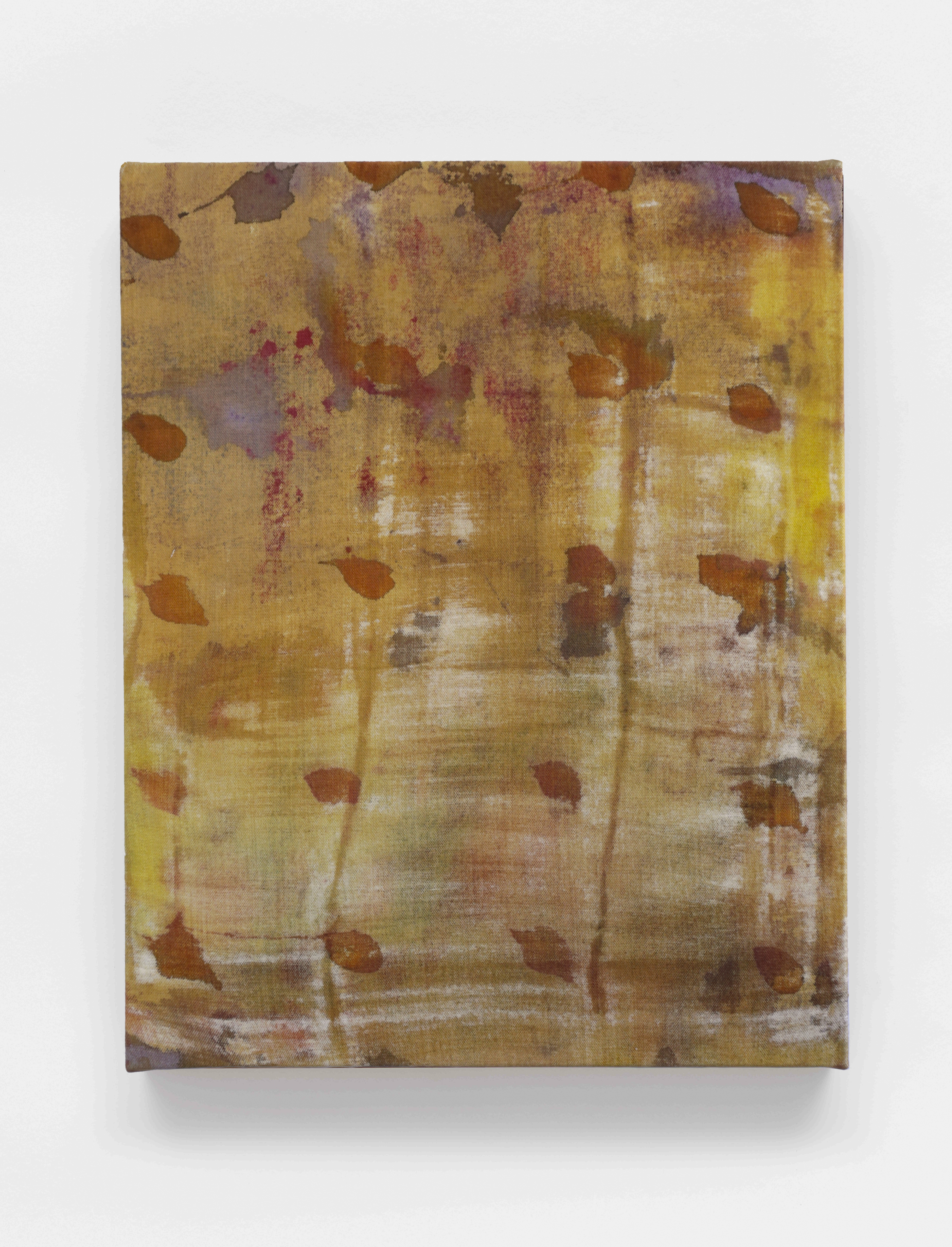 S19 (Ochre Dot Grid), 20 x 16," $125/wk