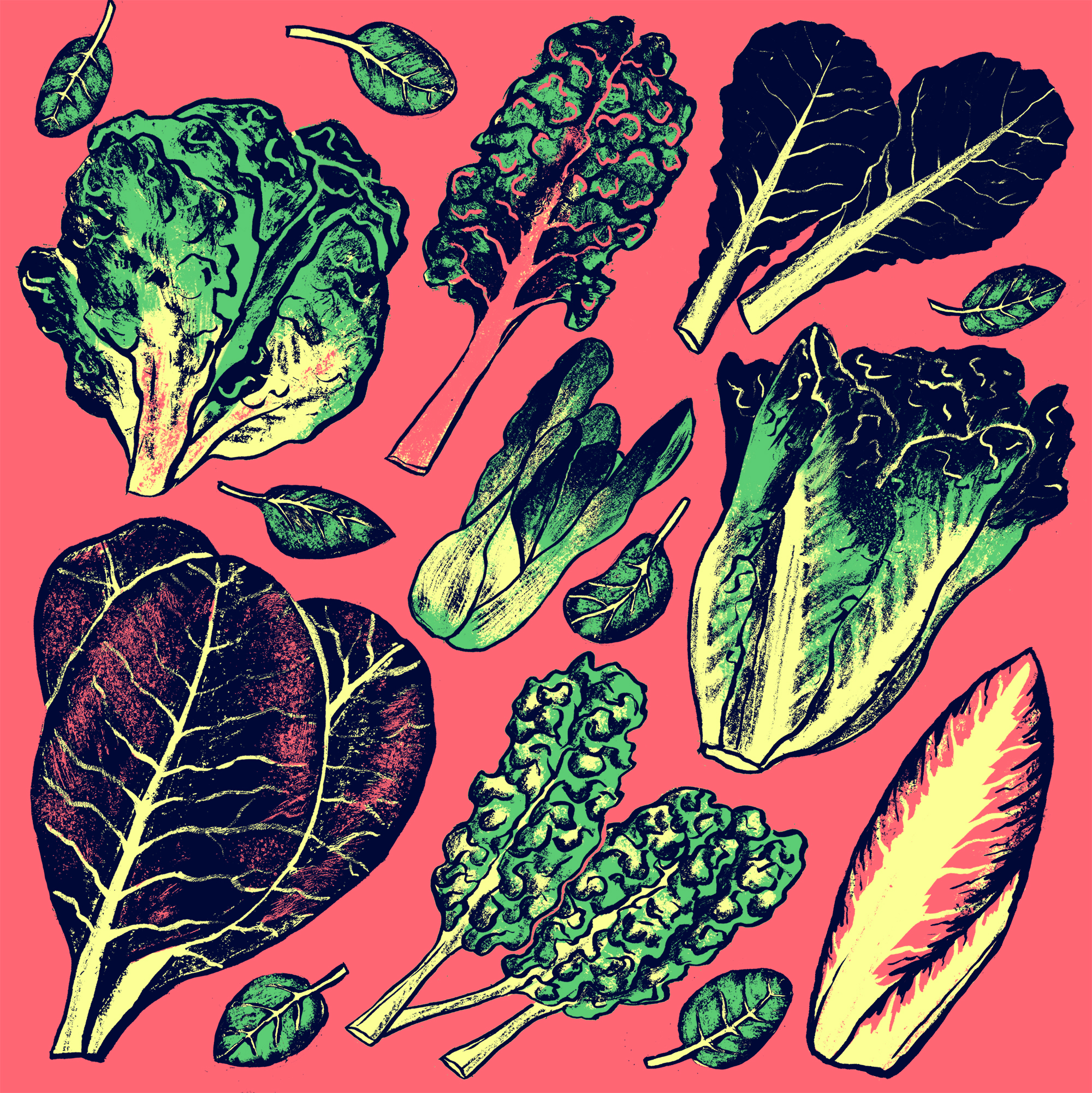 20 Types of Greens to Spruce Up Your Meals | WebstaurantStore