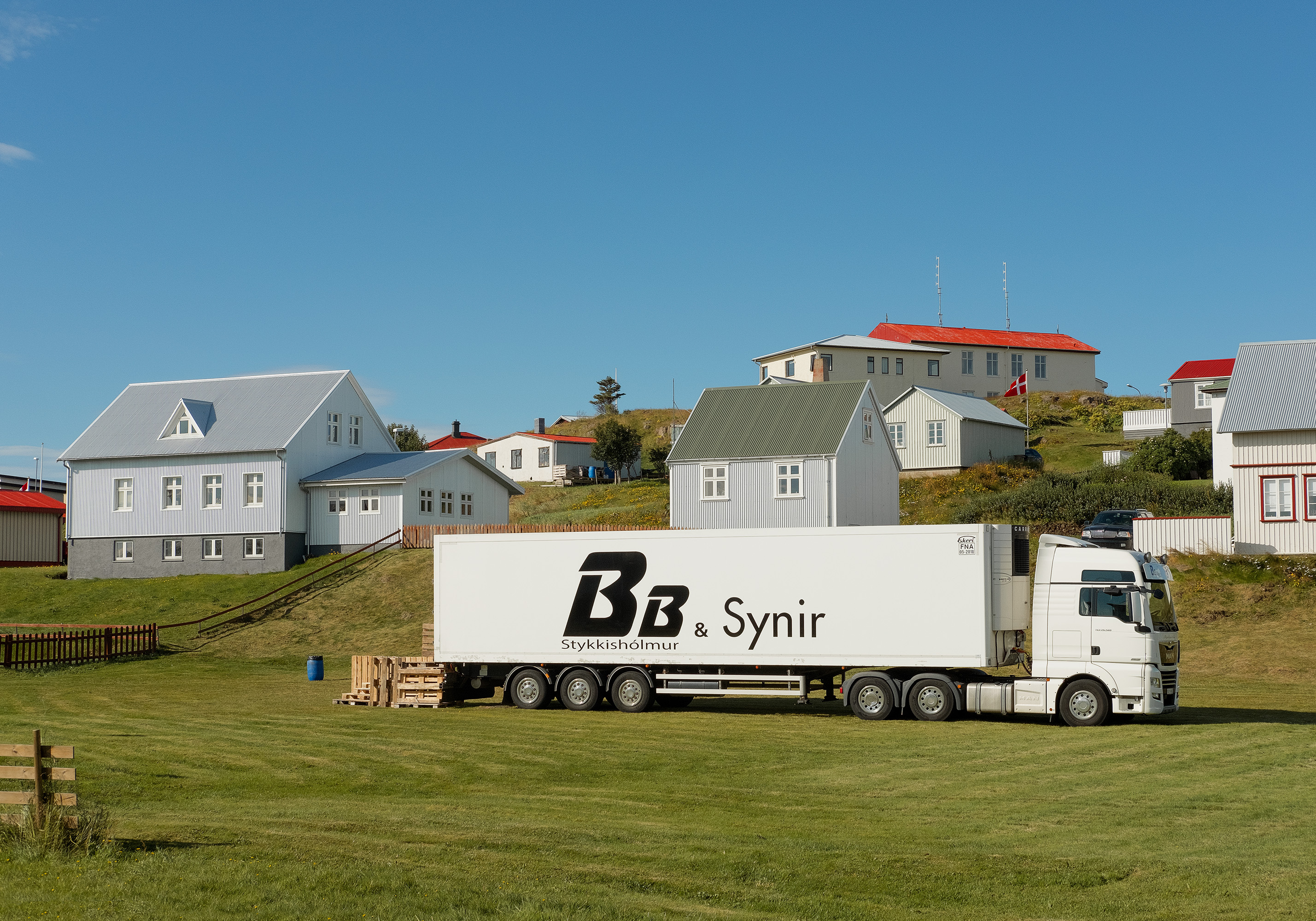 Domingo Nardulli TIFF