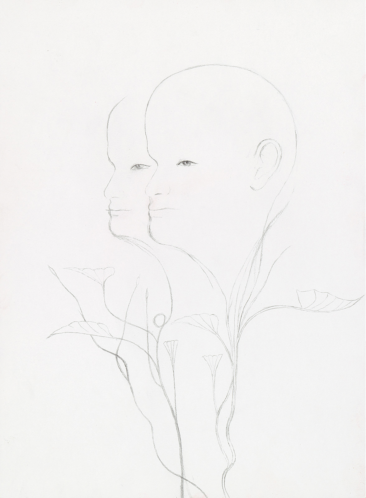 Twins II, 2014, pencil on paper, 29.5x21