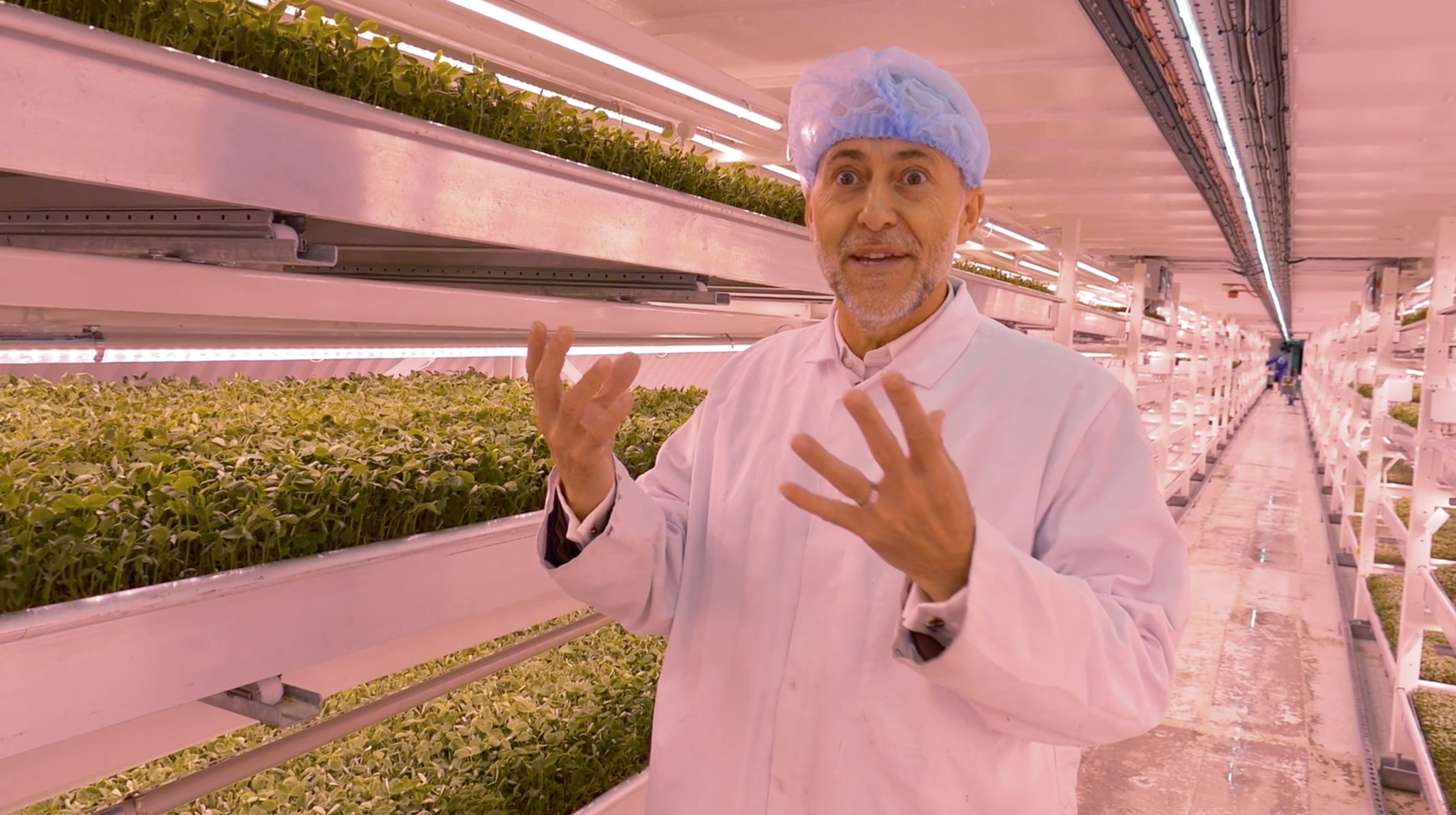 Food for the City | documentary