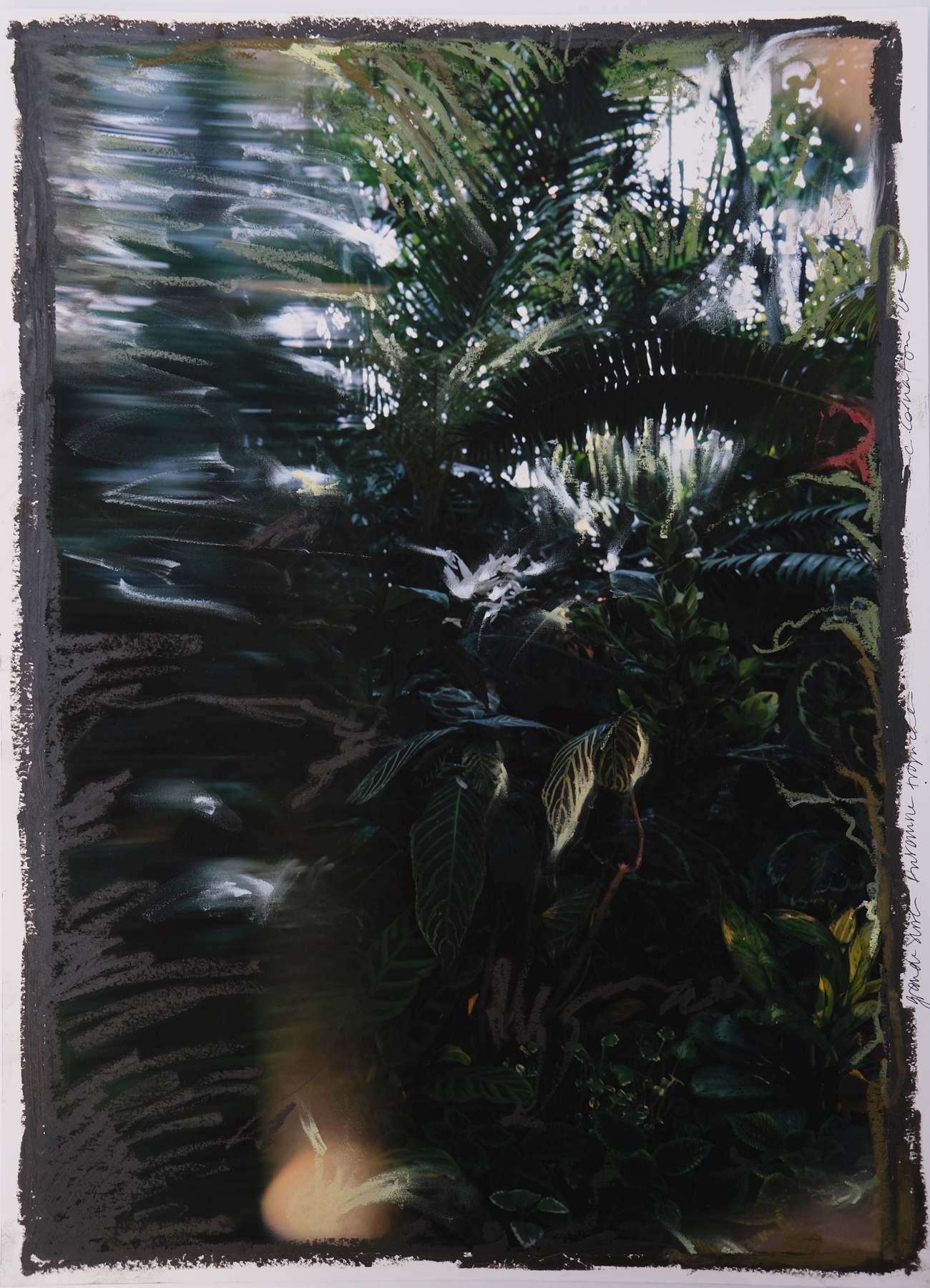 42 x 30 cm