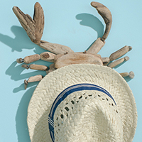 Sherwin Williams -  Coastal Cool