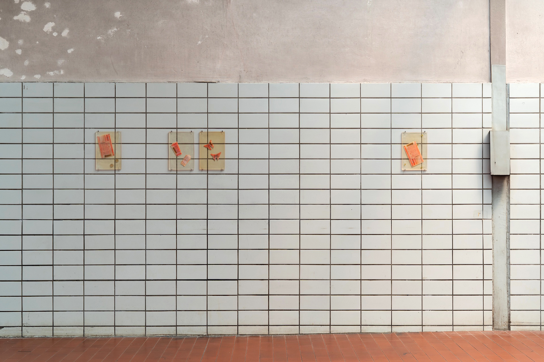 The Winning Numbers //2024-2025//