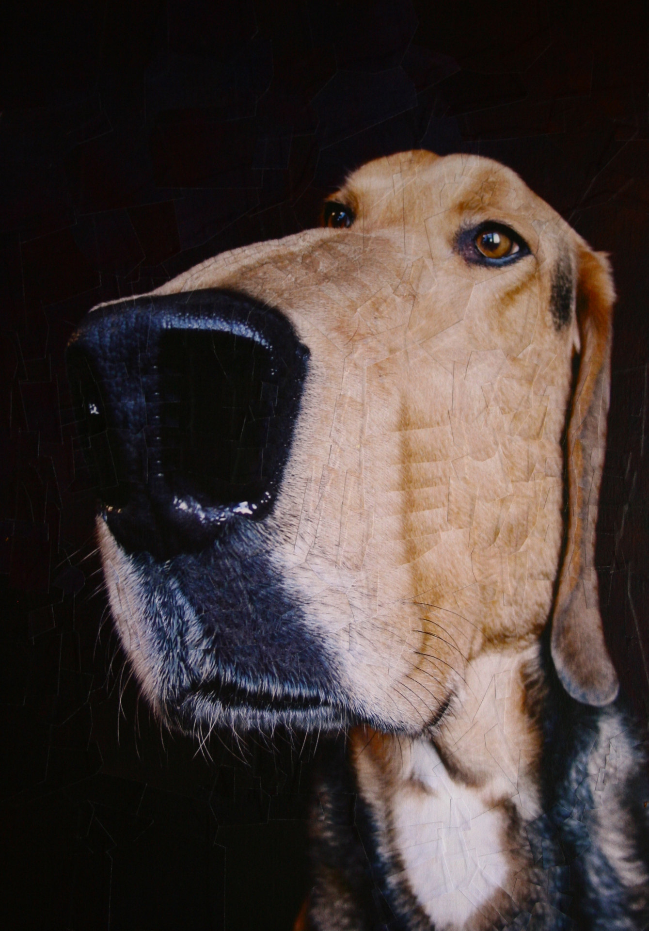 Parker, 2010, 11.6 x 16.5 inches