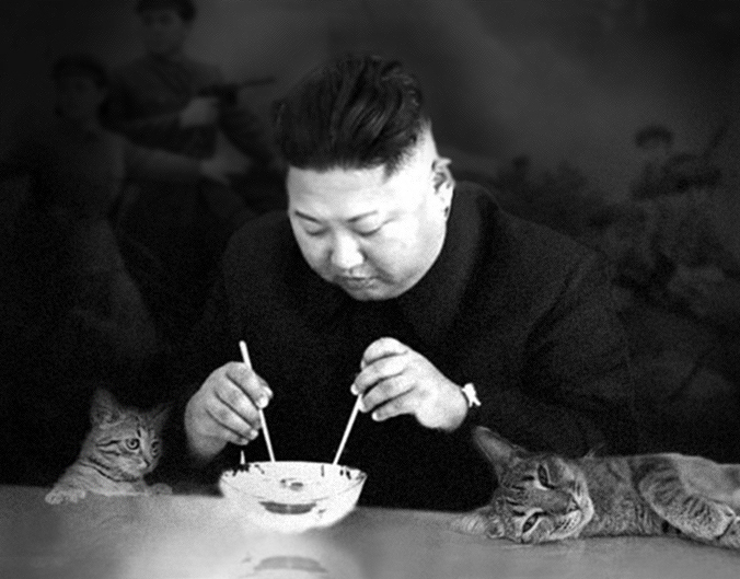 Kim Jong-un et ses chats Kim XVII et Kim XXIII © NKCKC