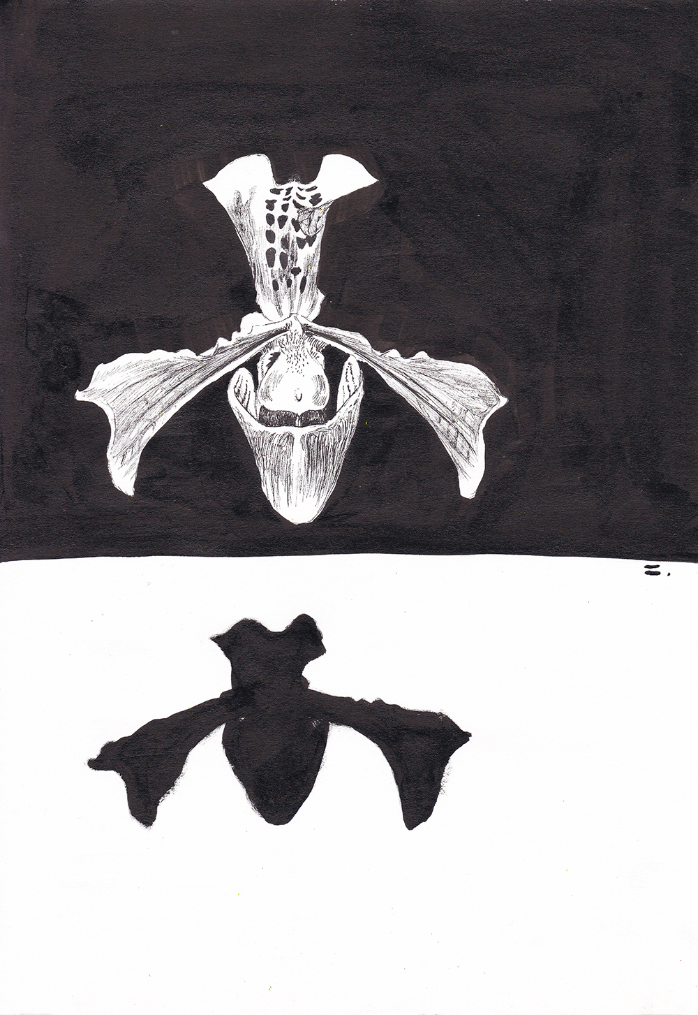 떠나간 한 송이, 2021, pen, ink on paper, 27.9*21(cm)