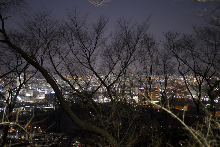 view to the south // namsan mountain