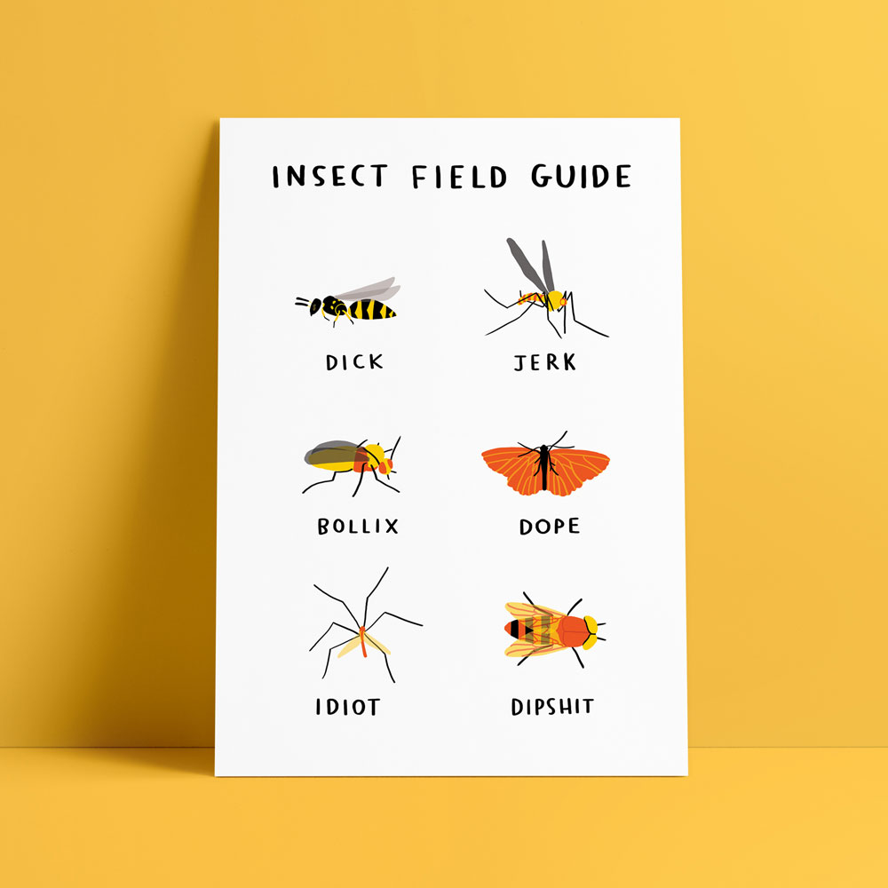 Insect Field Guide  • A4+ • from €18