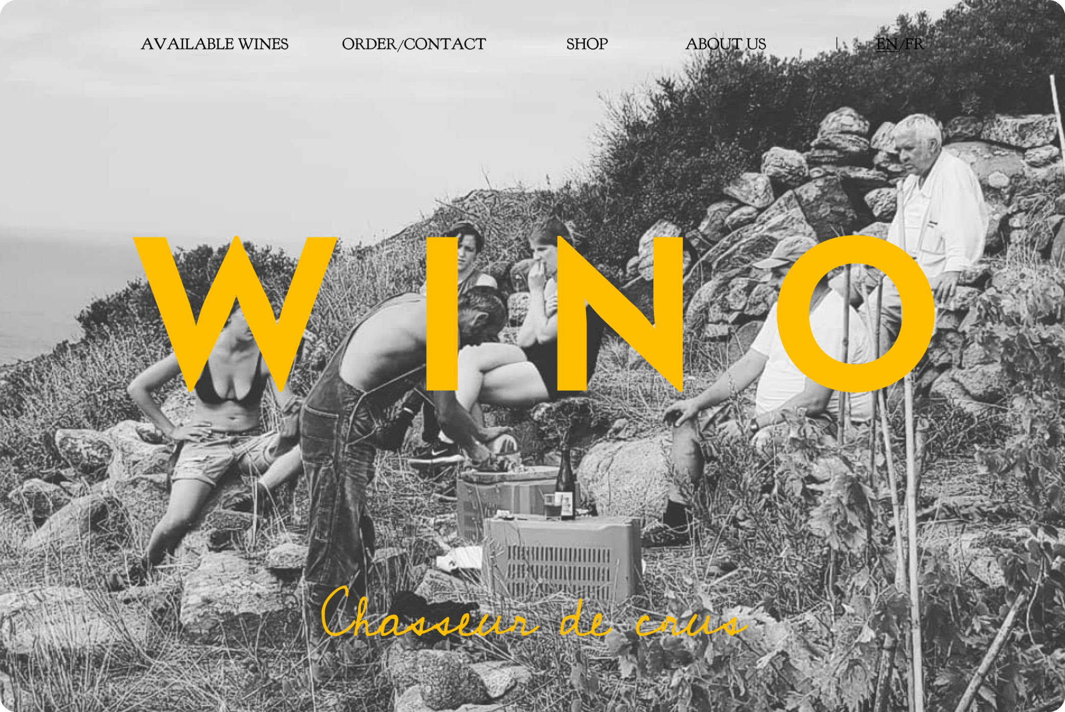 Wino Import With the team at Wedge Studio.