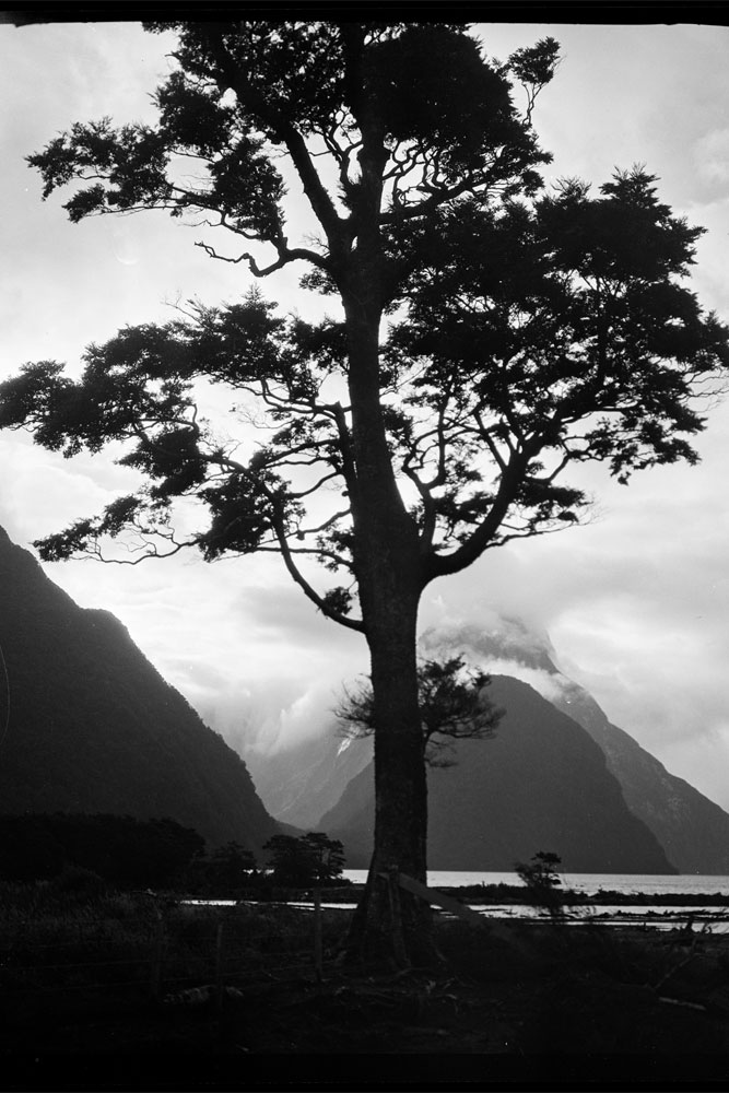 original photo by Unknown; 1930; Southland