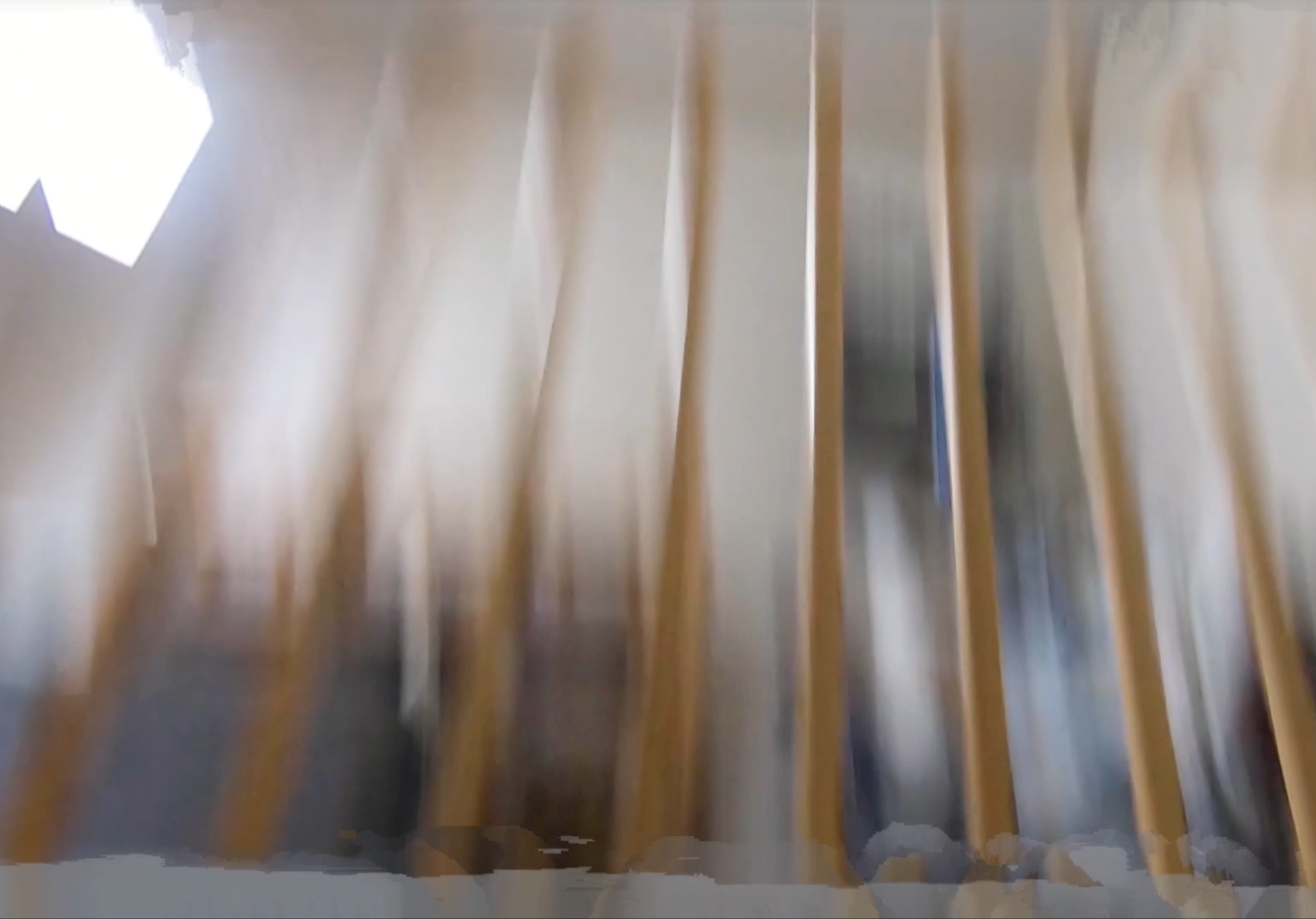 Projections (in/out)
