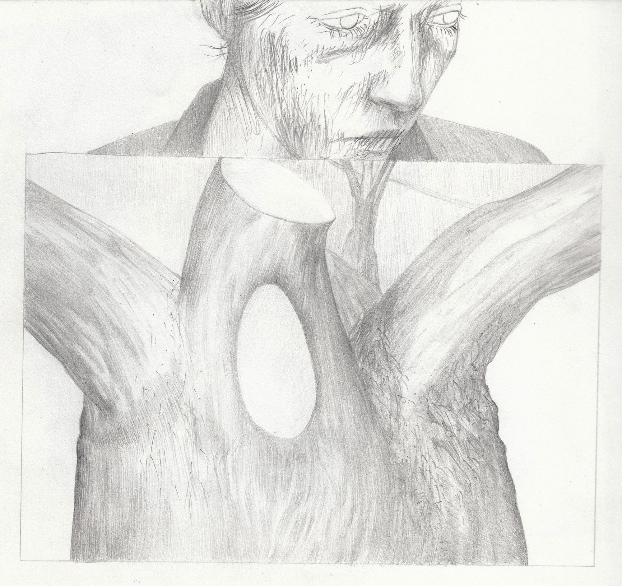 THE WIFE / 2025 / Pencils on paper