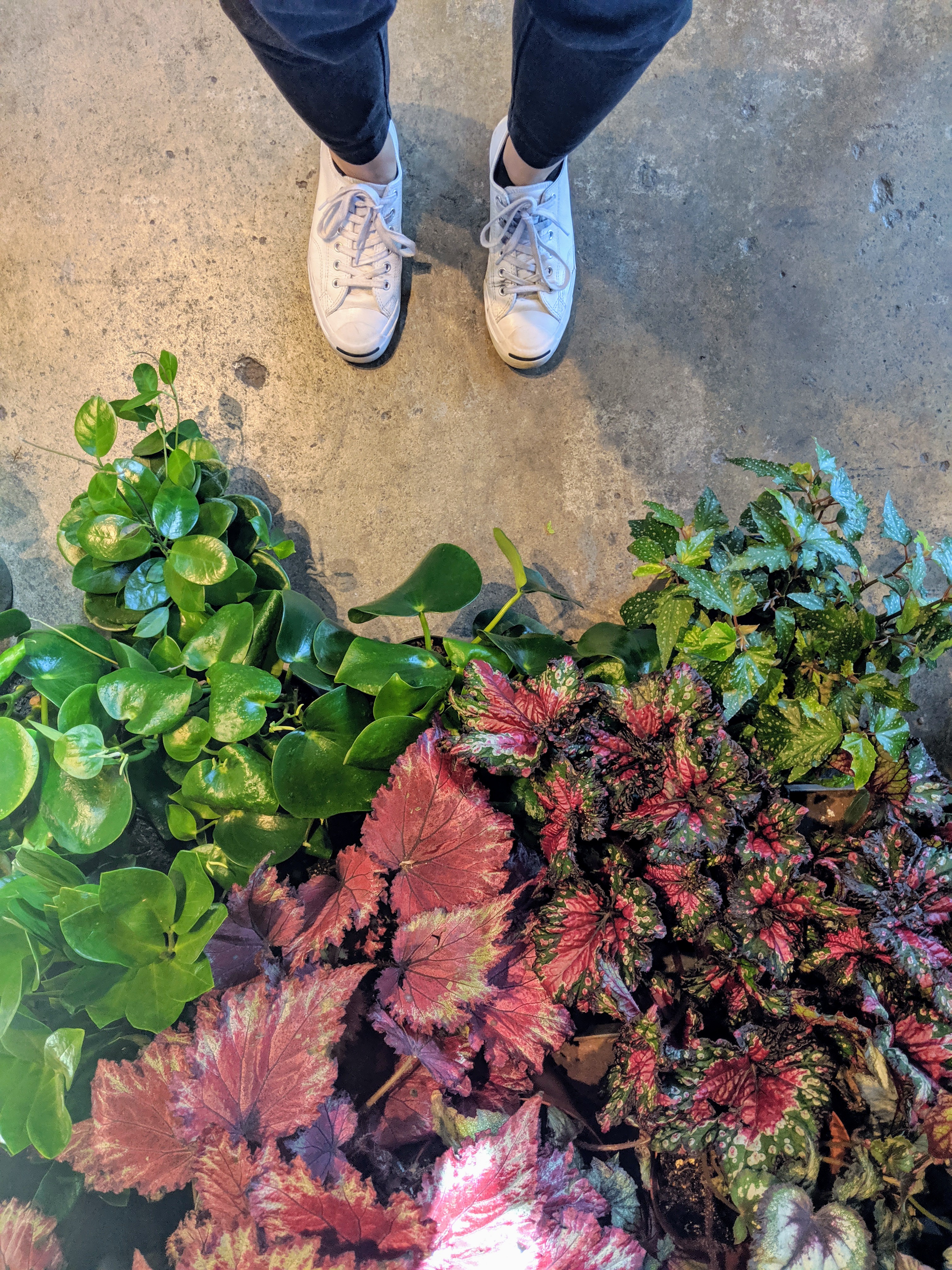 Sep 2, 2019: Somewhere Oakland