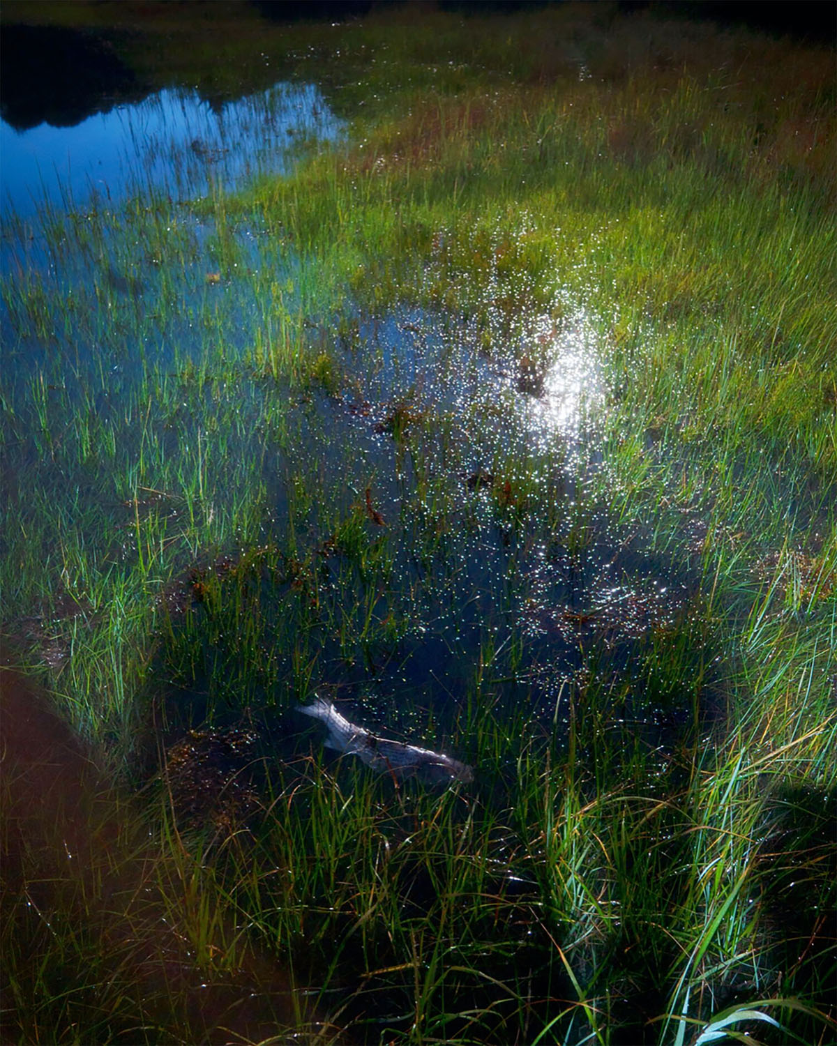 Untitledinkjet print, 22" x 27.5", 2021