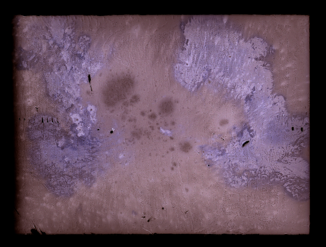 The Buck Moon