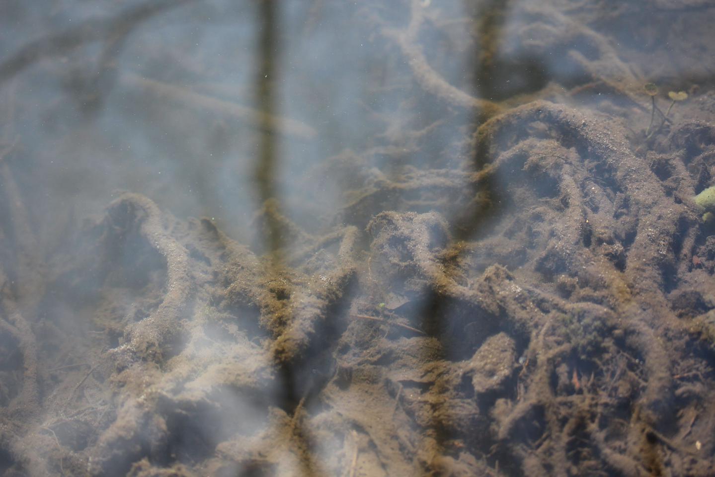 Abi Spendlove, Tributary (2017)