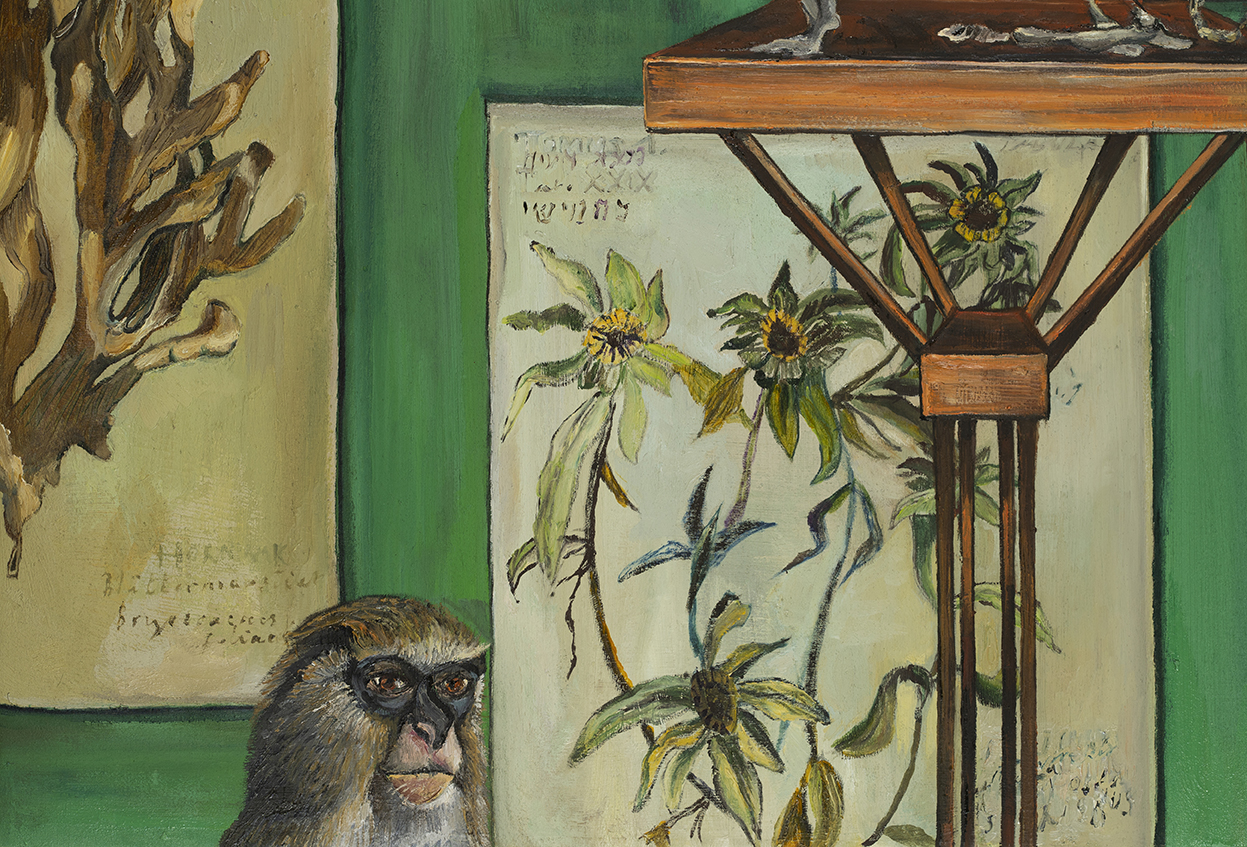 Zoom de El Naturalista VII - L&agrave;mines