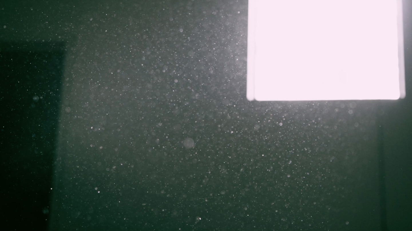 Dust Lockdown / Video Still