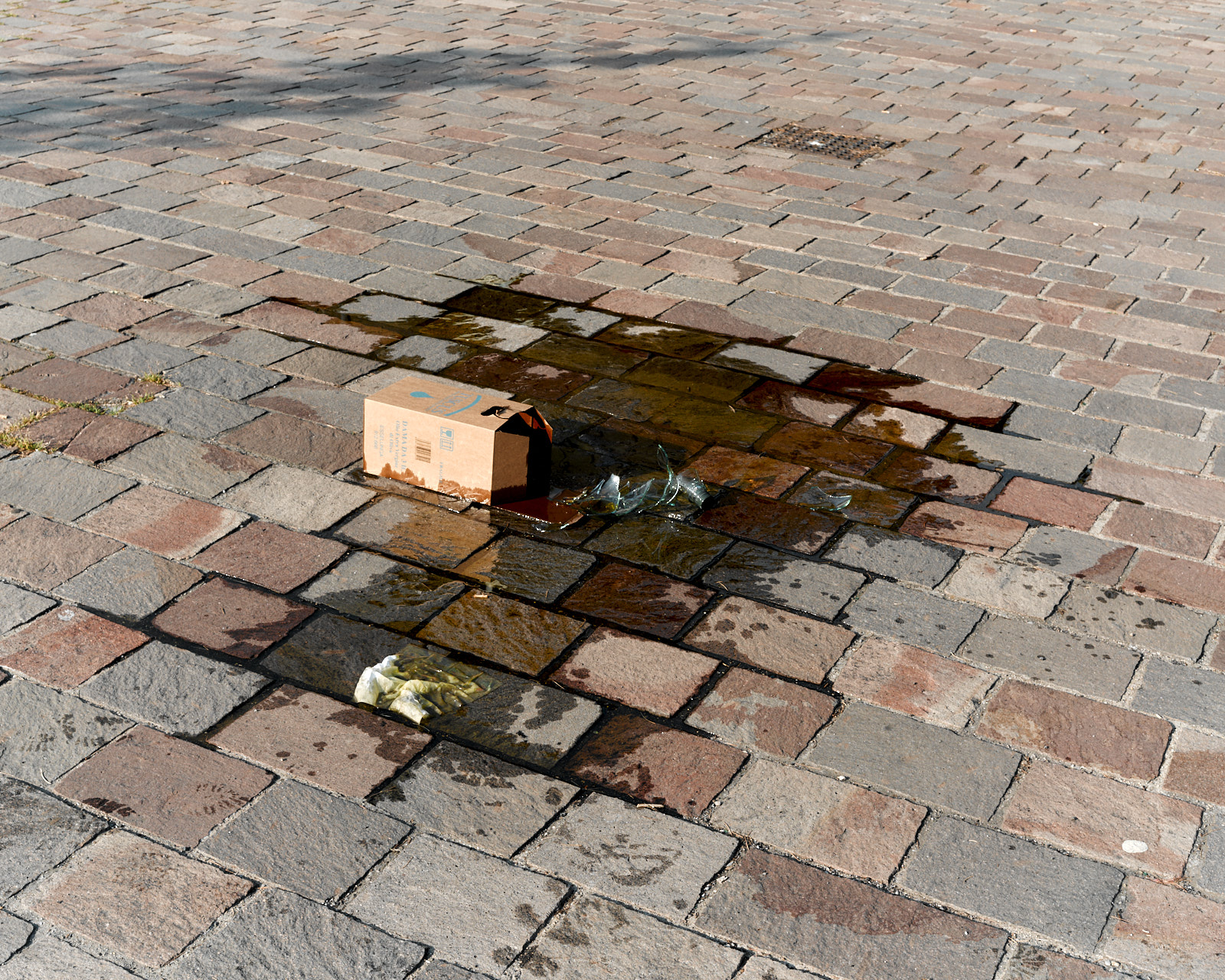 Three Litres of Olive Oil. Milano, 2020