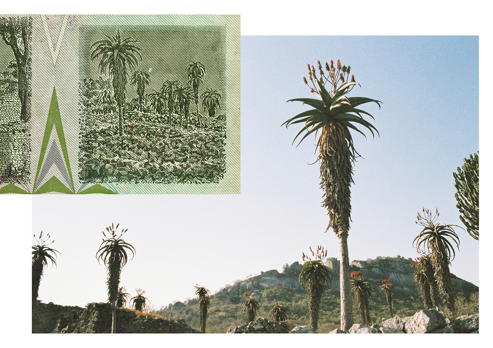 © Chloé NICOSIA