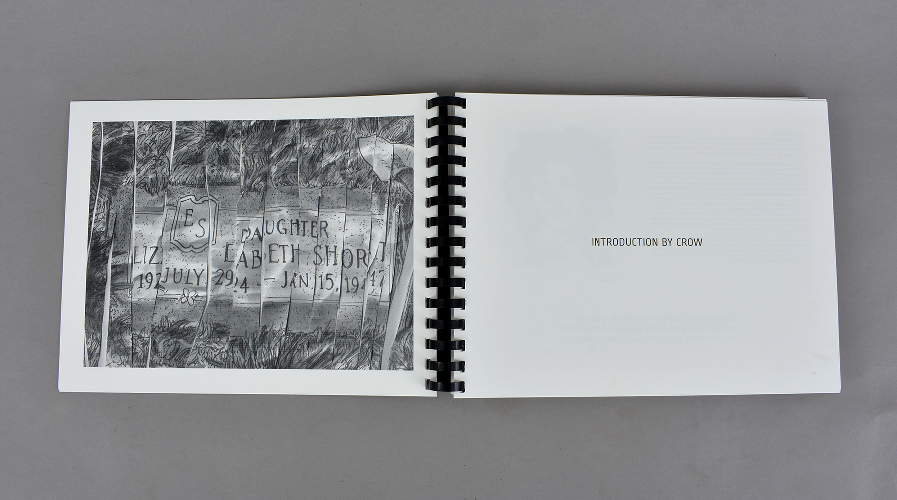 Interior Spread, "The Black Dahlia And Rudolph Schindler - A Blueprint For Murder by Crow"