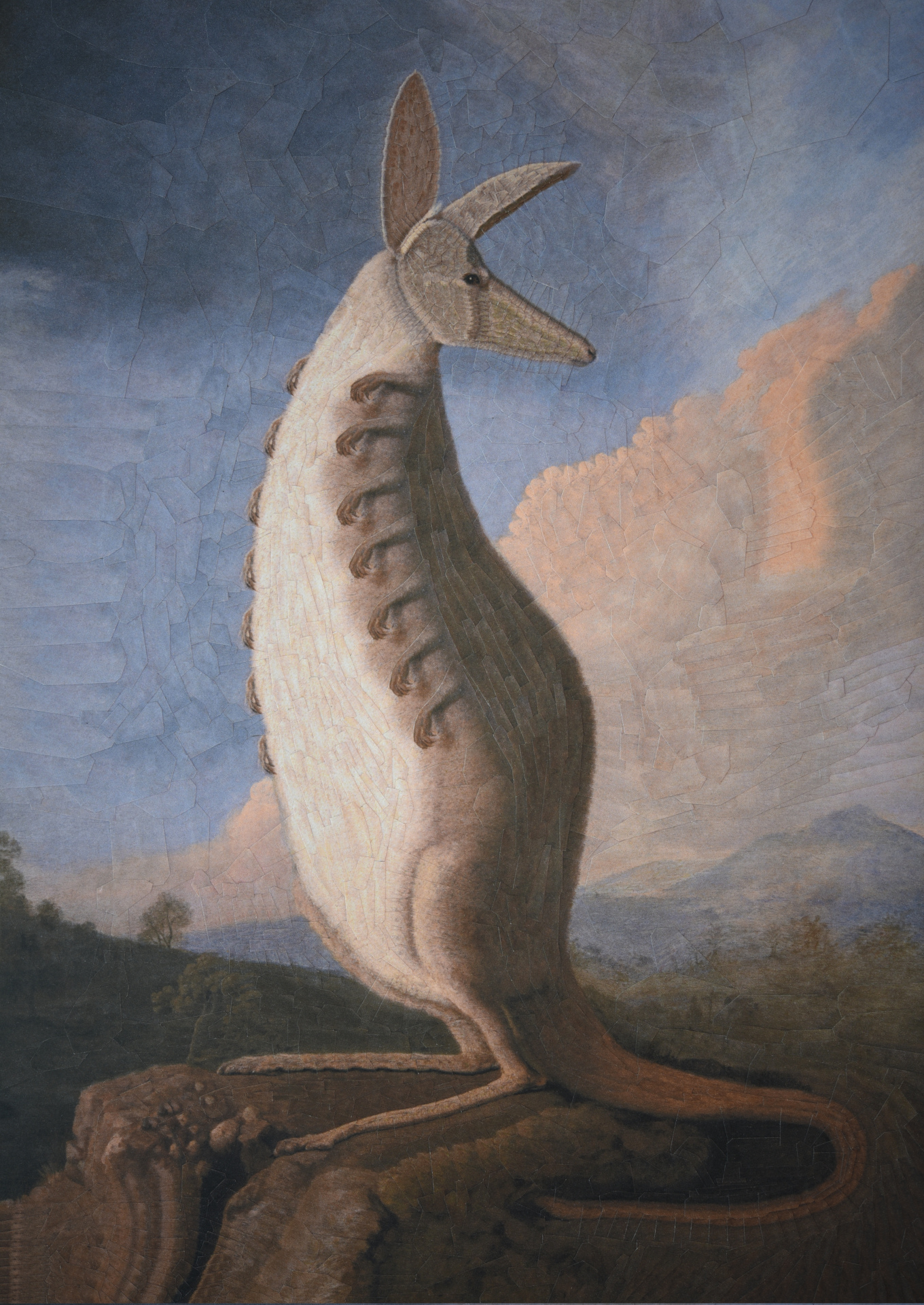 Roo after Stubbs, 2021,  8.2 x 11.6 inches