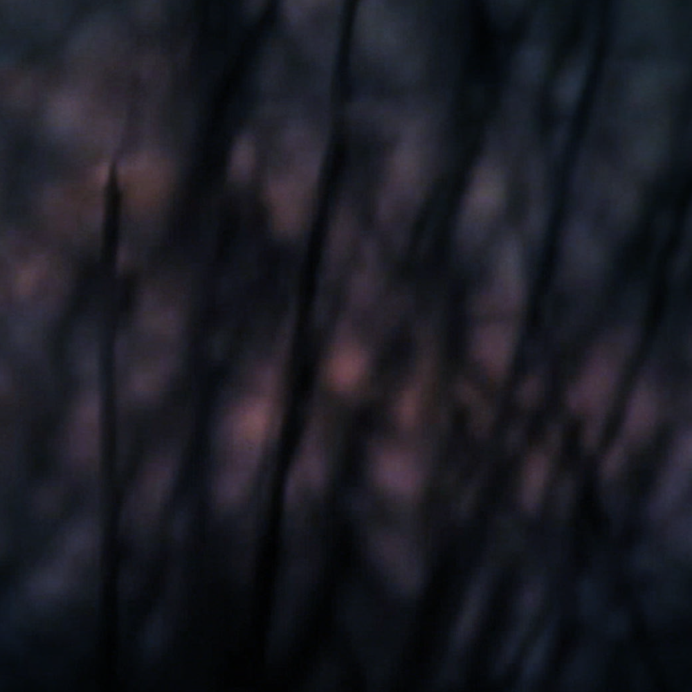Irresolute (2013), Directed by Scott Barley