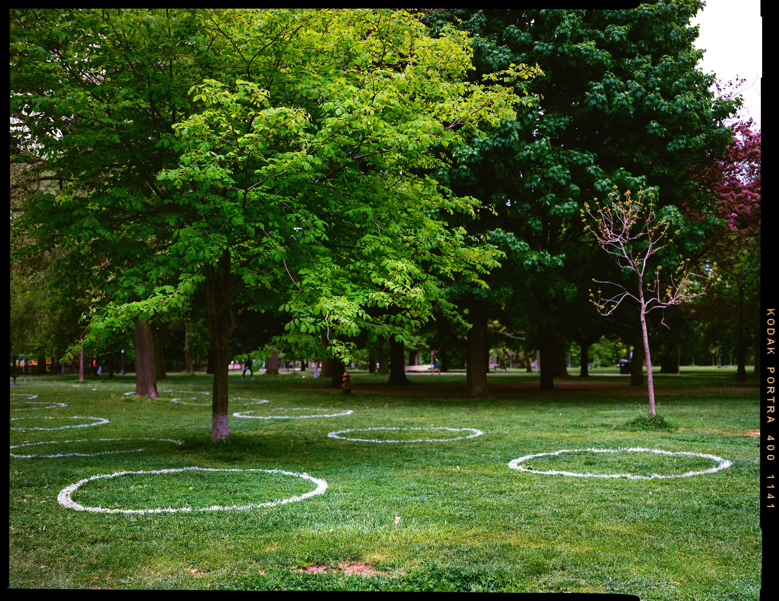 Trinity Bellwoods Park, Toronto, 2020