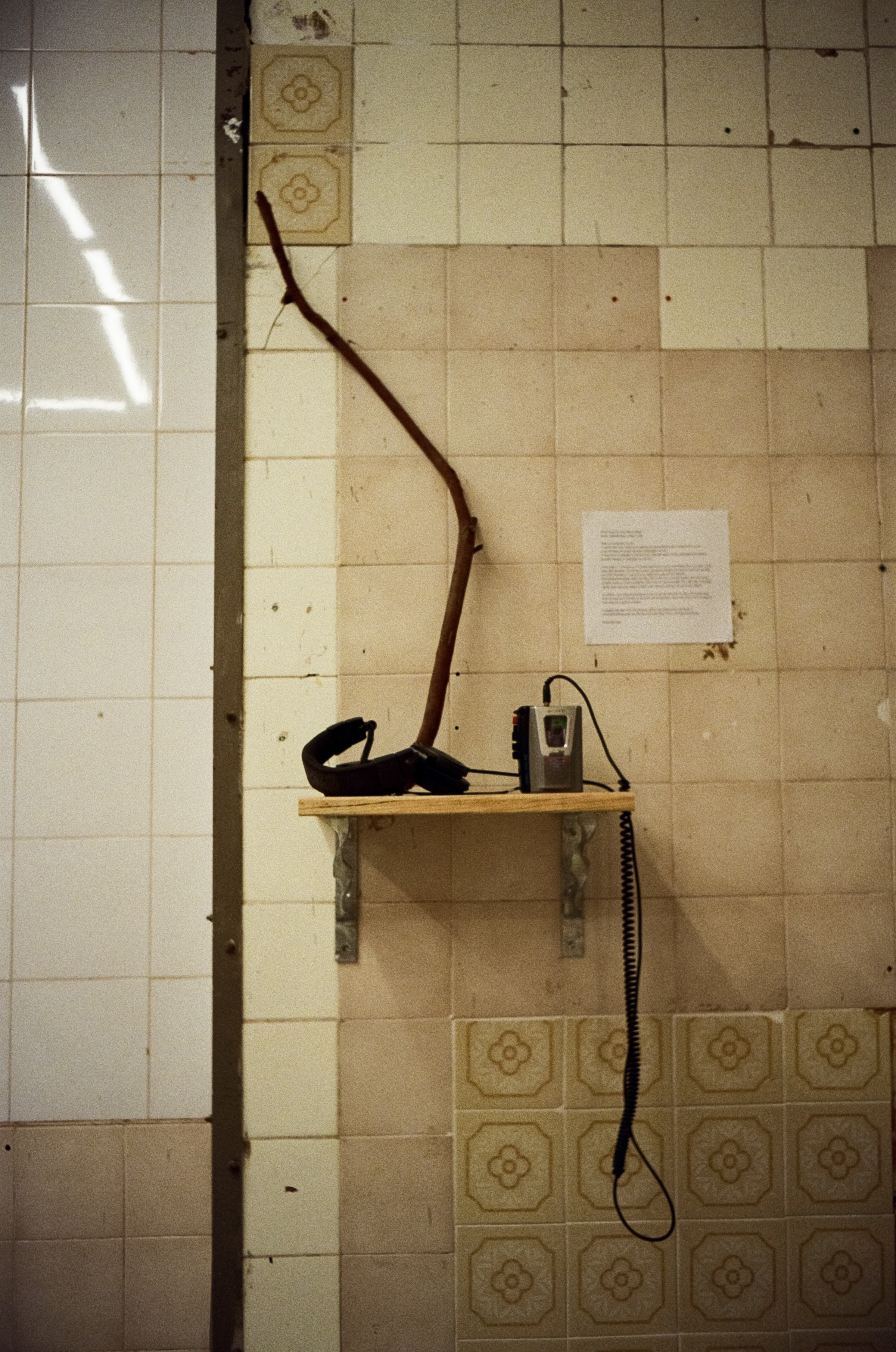 This is what the stick heard (2024). Photograph by the artist