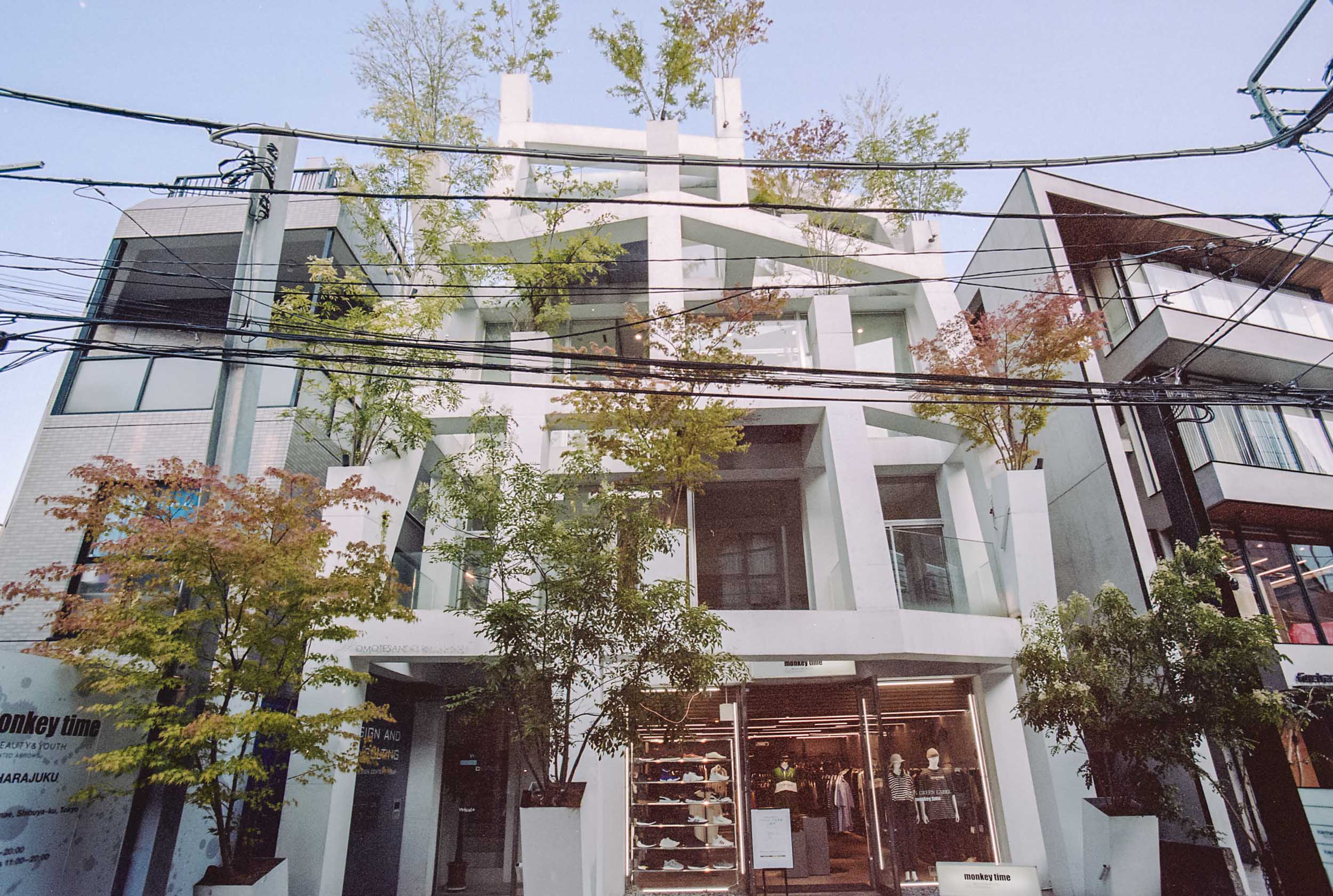 Omotesando Branches