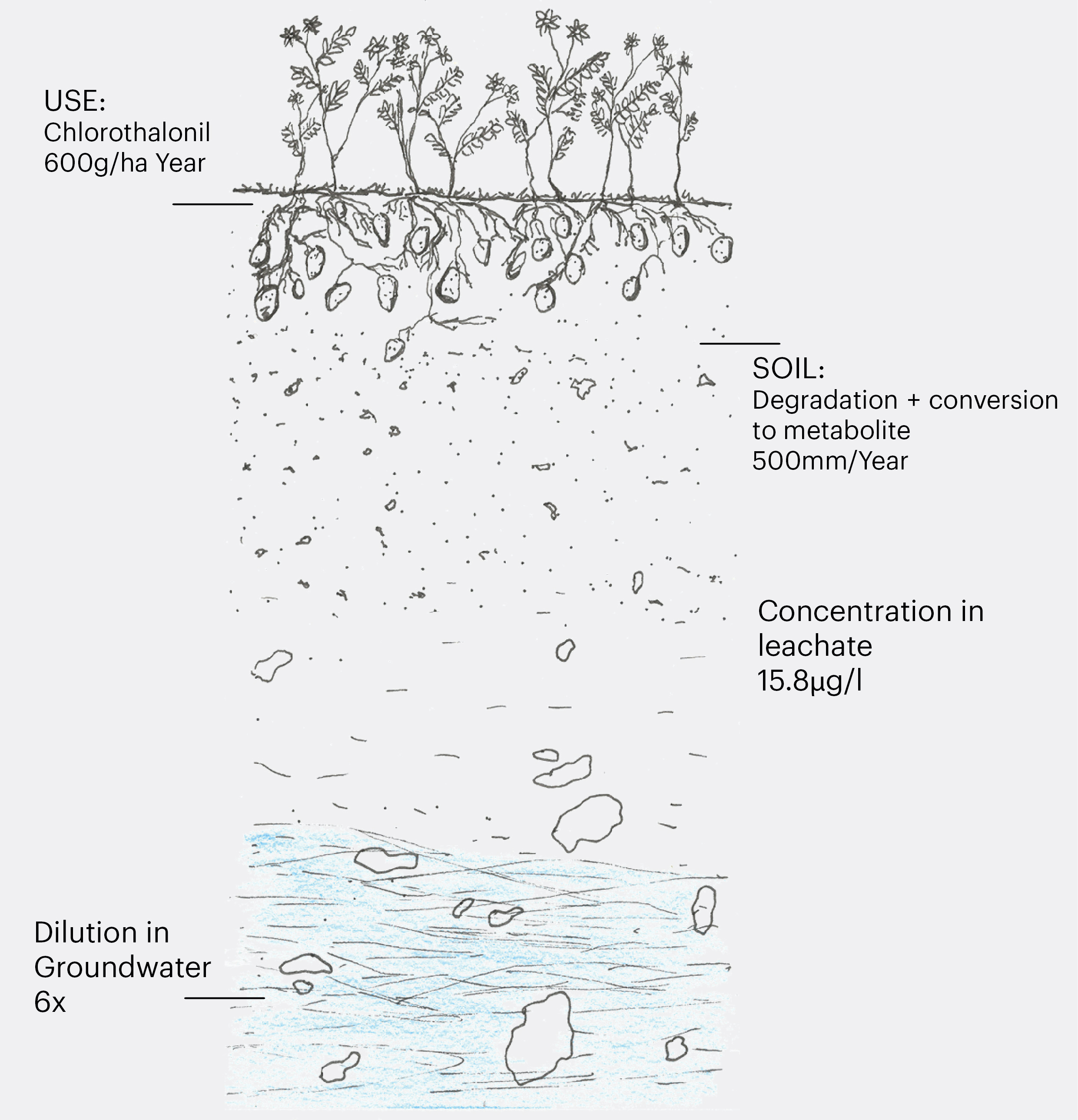 Use of chlorothalonil: the course and concentration of the pesticide and its degradation product.