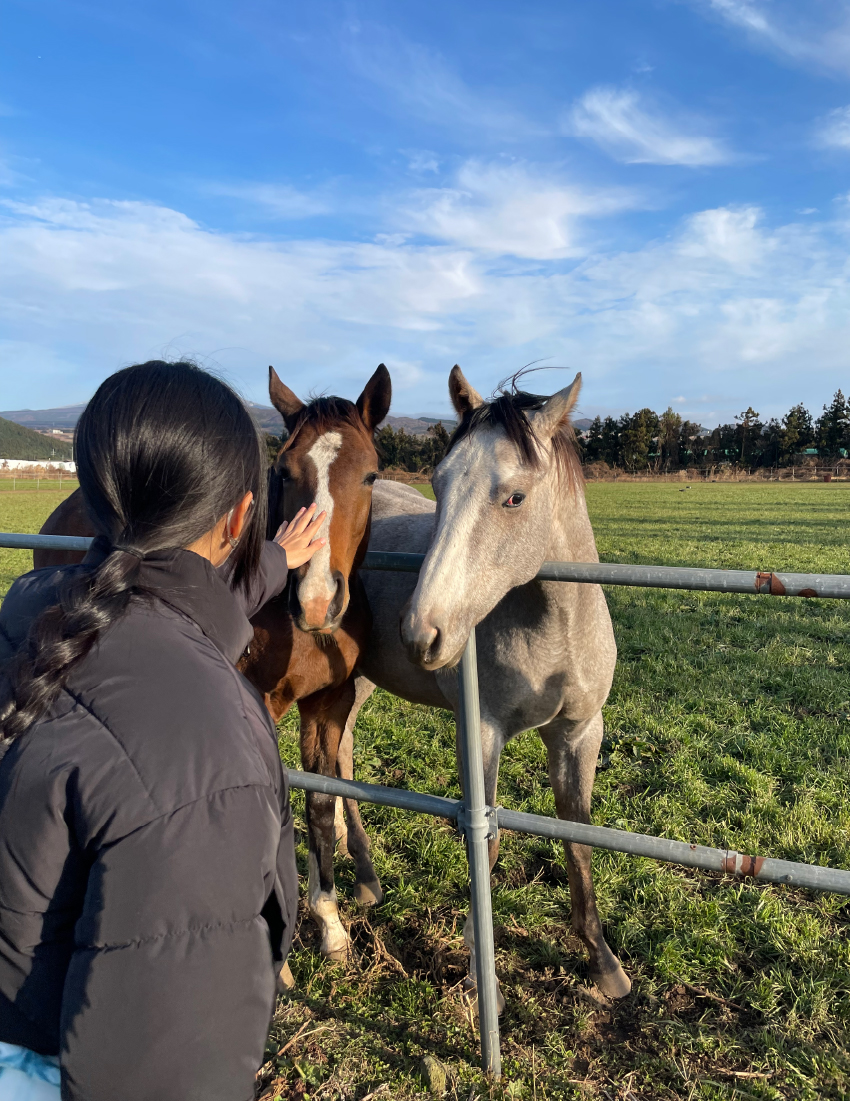 김혜지의 제주 일상 ©김혜지