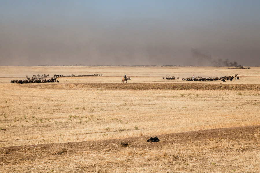 R&eacute;gion de Jazaa, Rojava. Juin 2014.