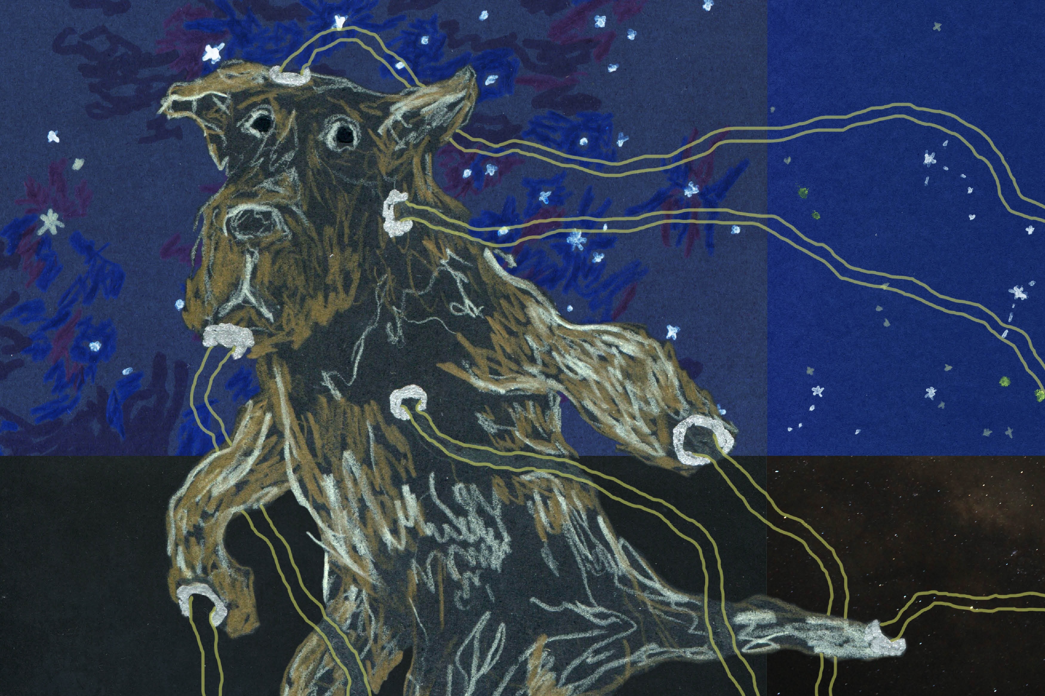 Desember 2025: Mitt liv som hund