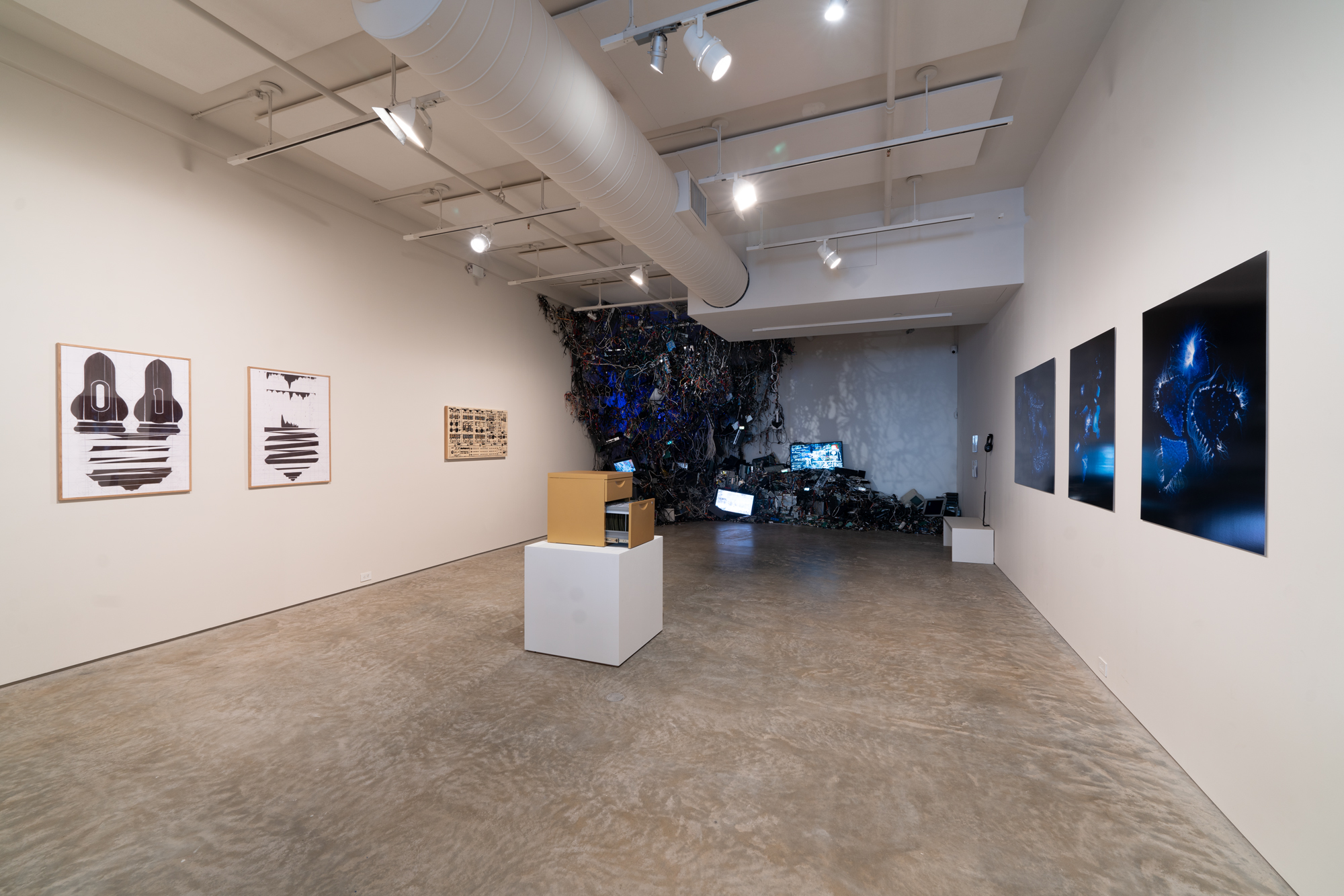 "Ars Memoriae" installation view. Image by Rob Ventura.