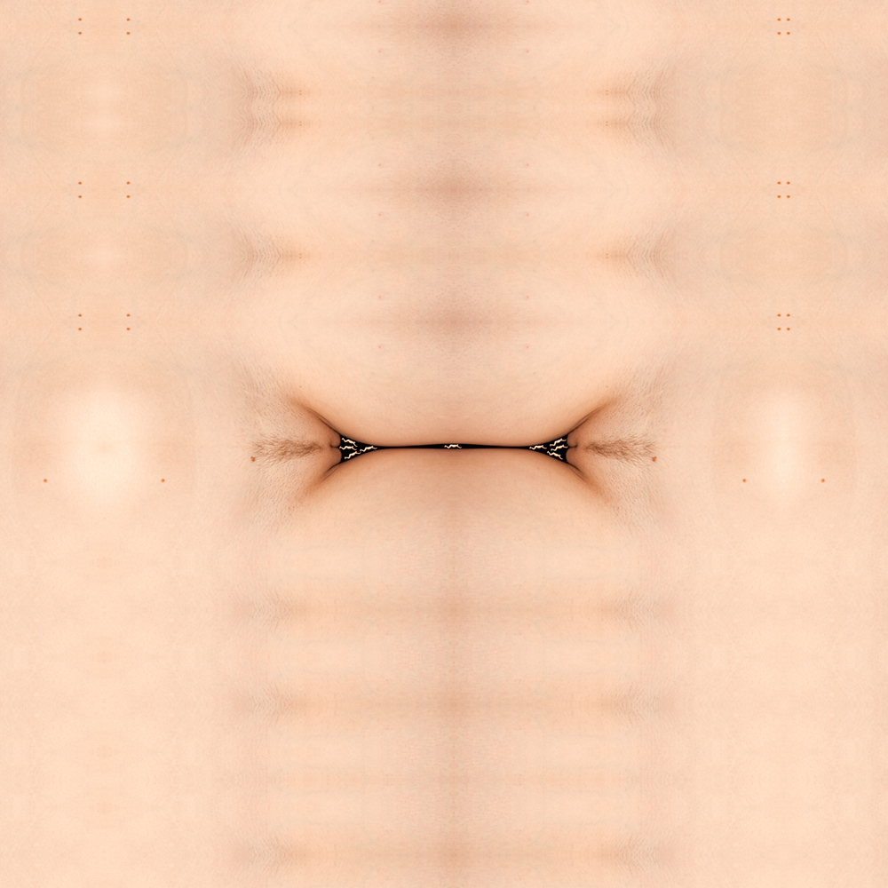 2011 08Charles Baudelaire, Les Fleurs du malCharles Baudelaire, Květy zla