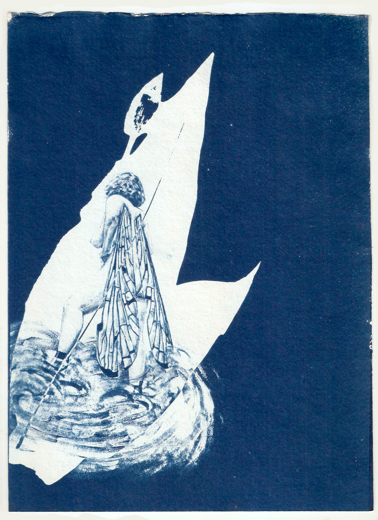 &lsquo;Fly&rsquo;,   cyanotype on recycled cotton rag paper, 320 gsm, 21 x 28 cm