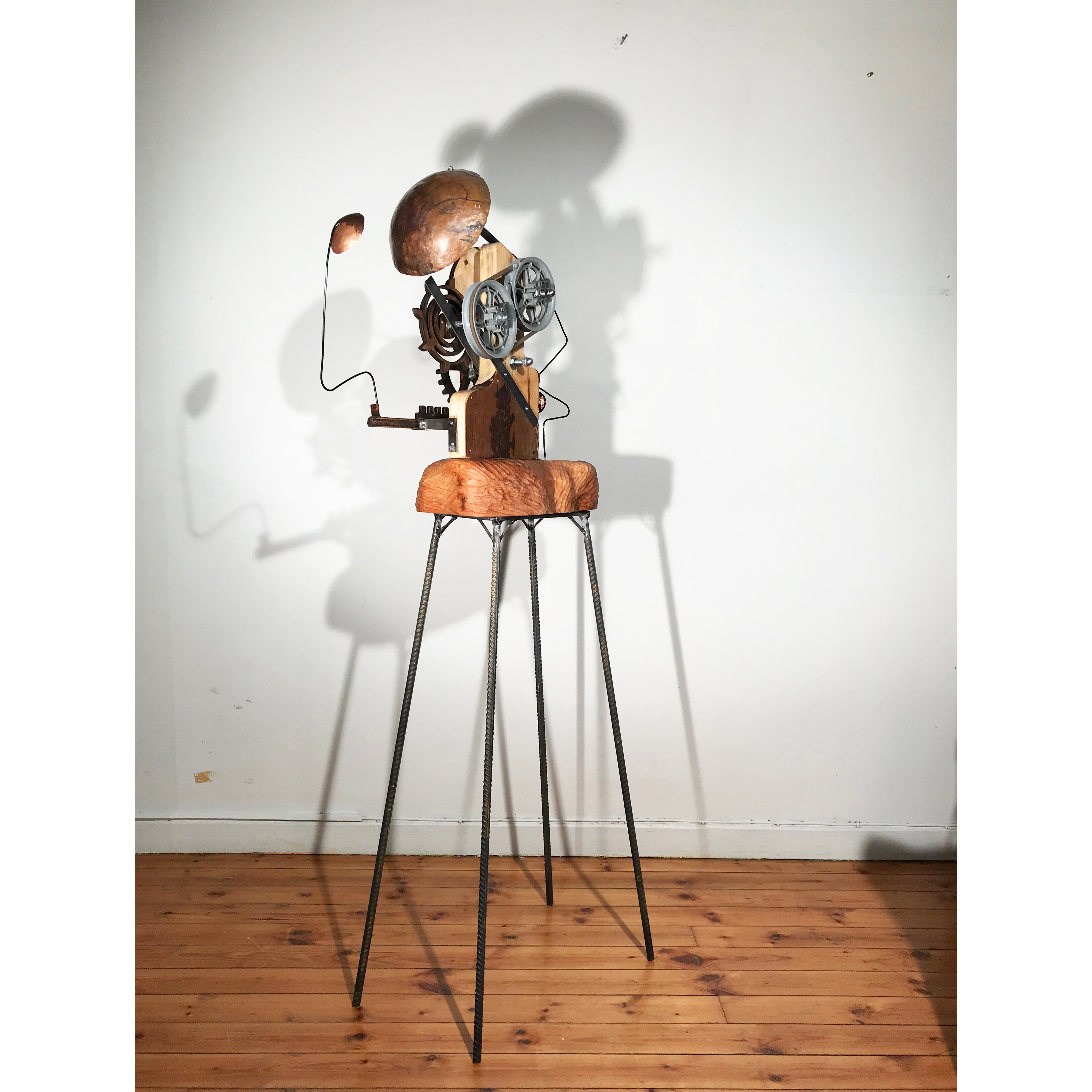 2018/Kinematik1/Wood-Metal-Plastic