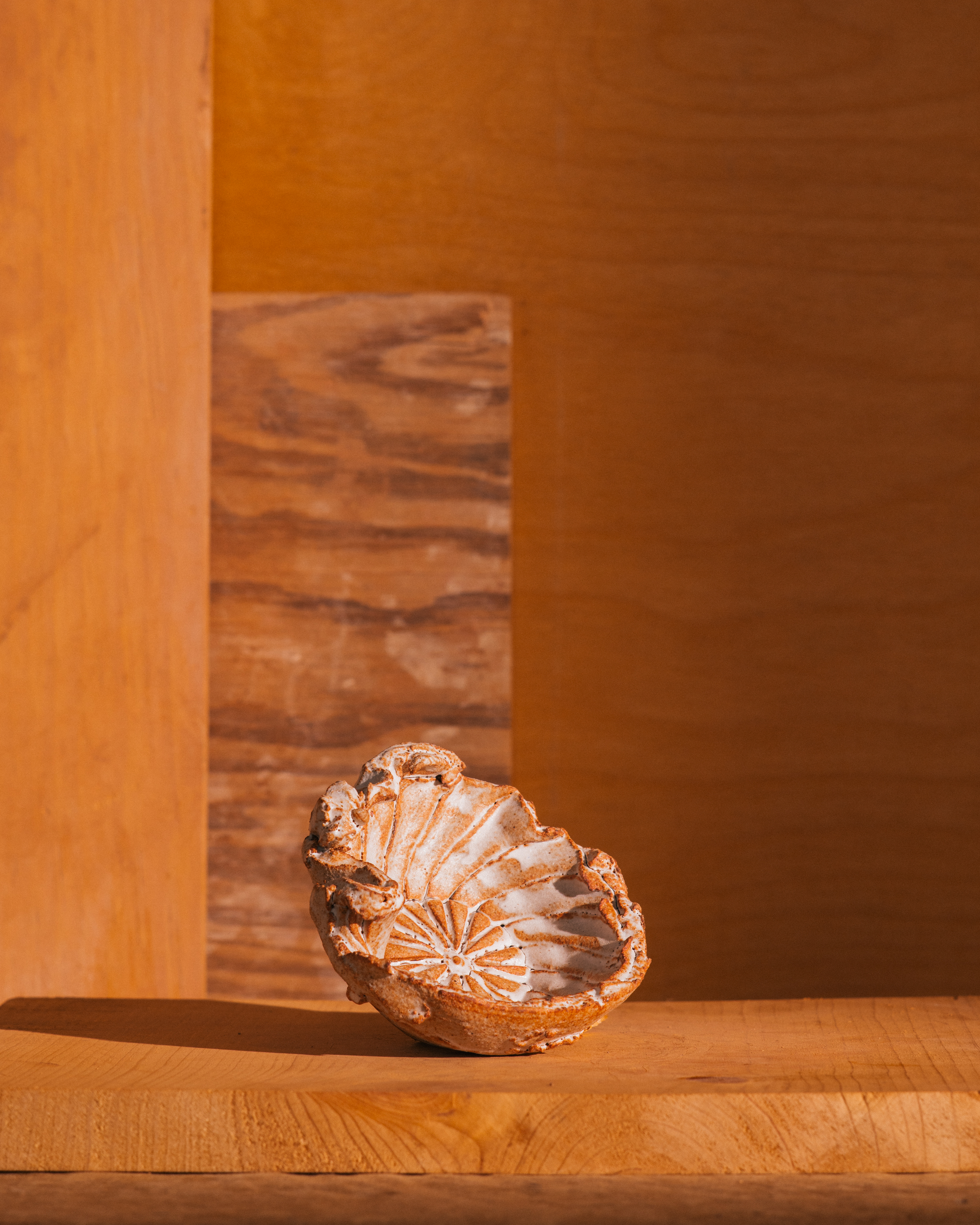 Anthro Bowl #4 [2023]