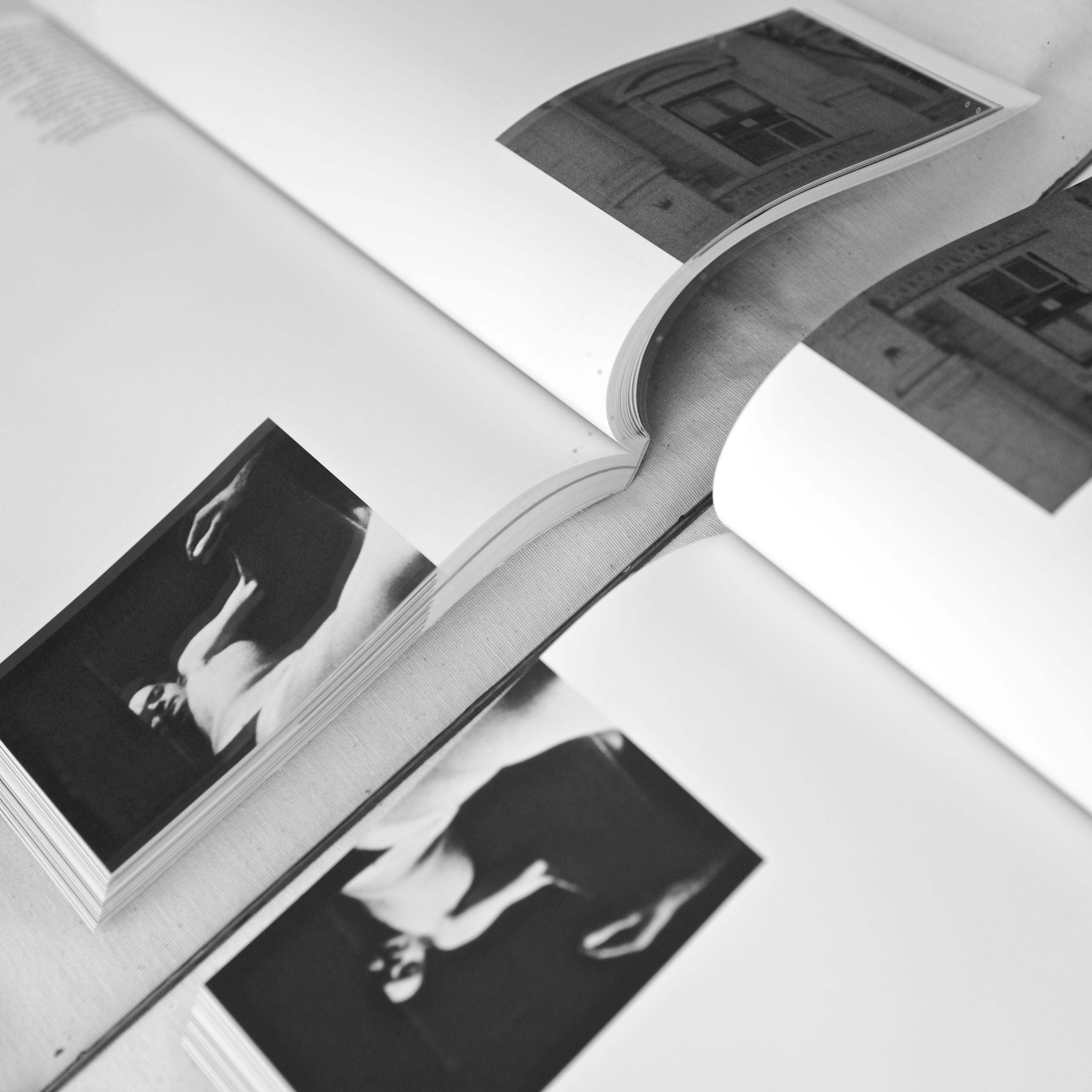 alt="Ion Grigorescu From static oblivion book spread"