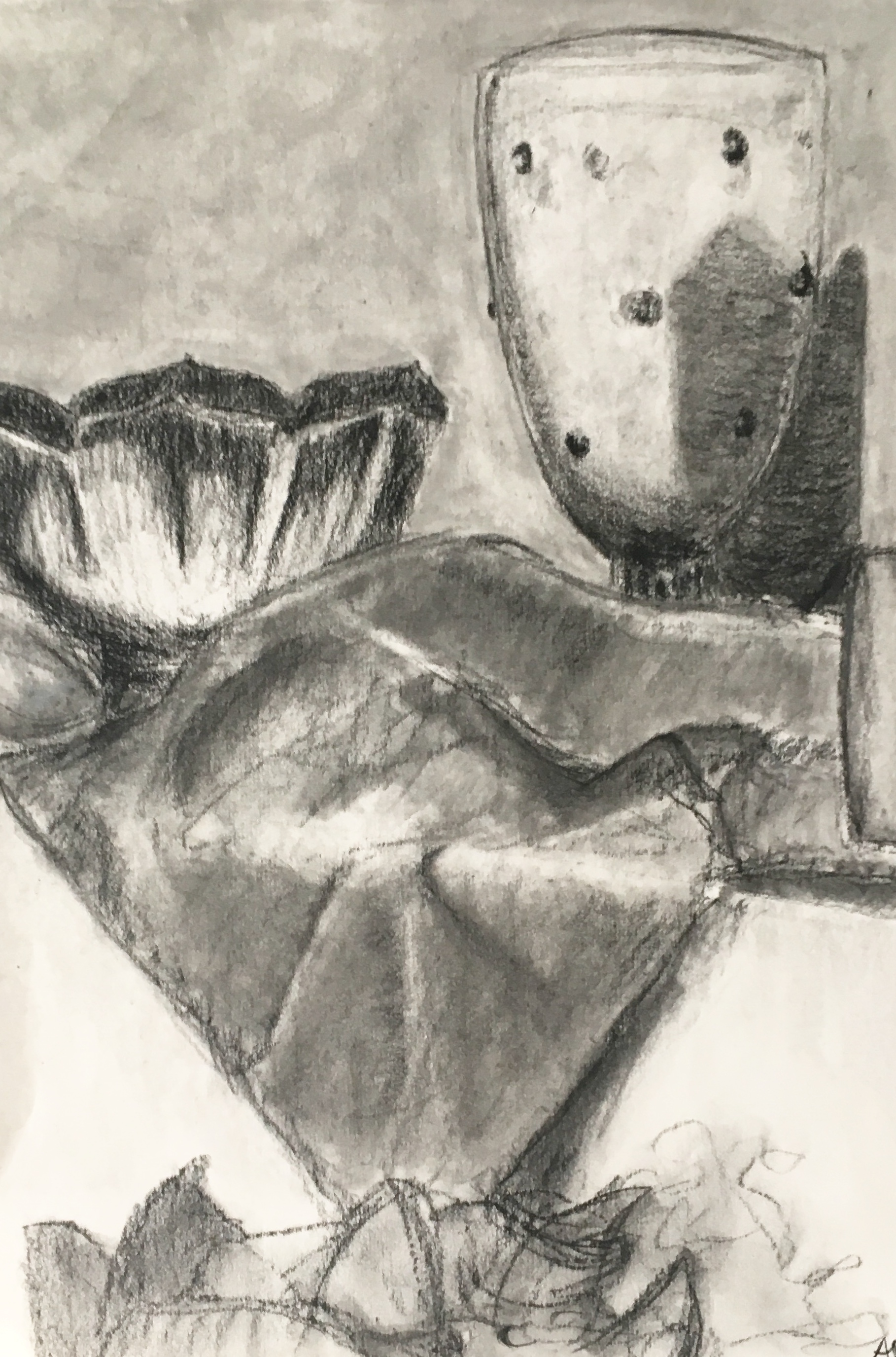 11" x 17" - charcoal on paper (2017)