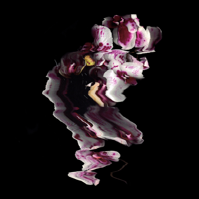 Static Flower: China 2
