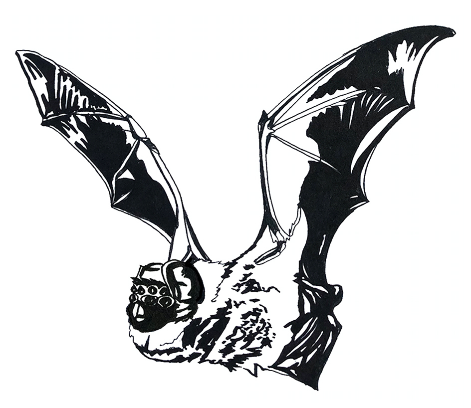 myth as emergent landscape ♾